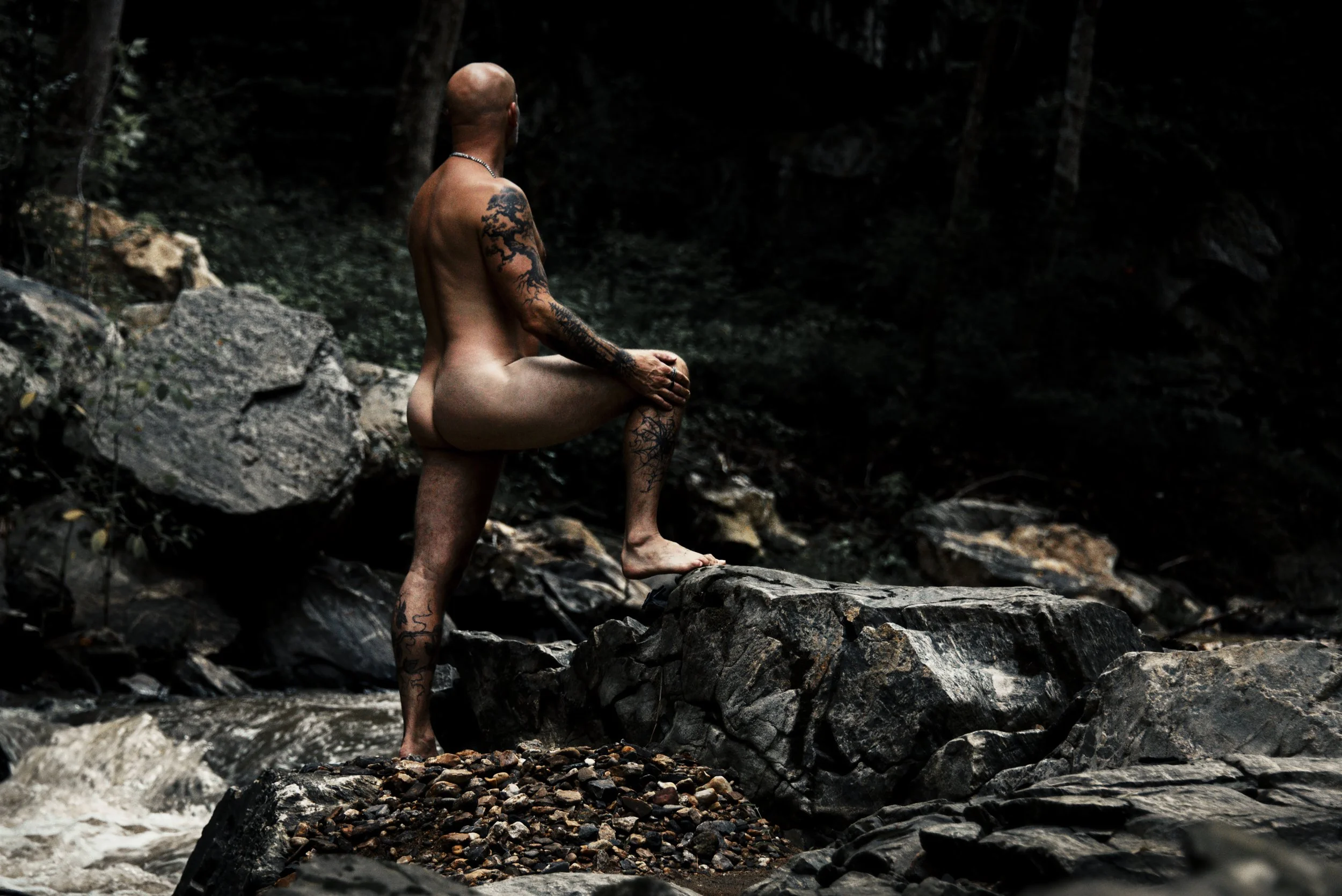 Adam (2).jpg