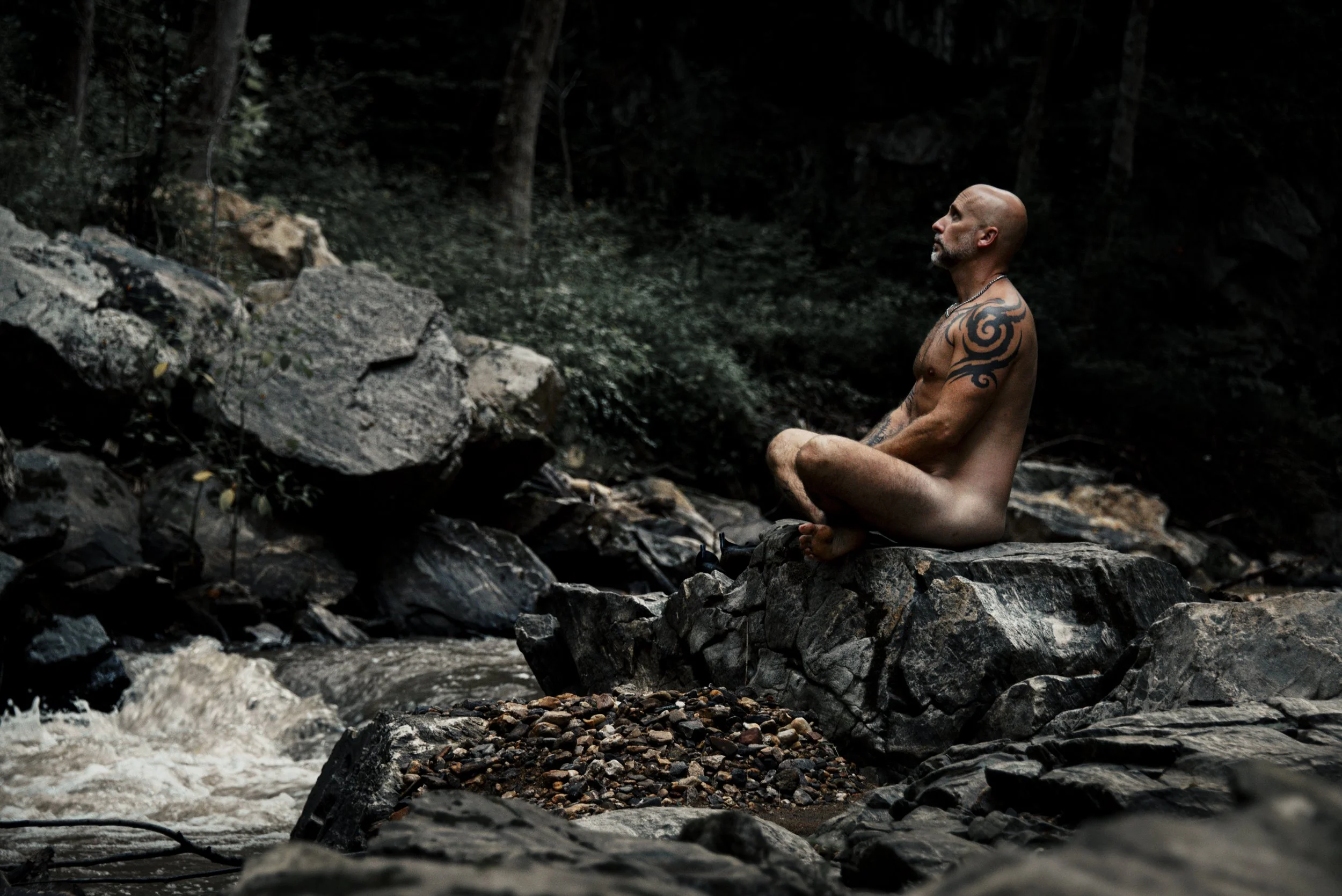 Adam (3).jpg