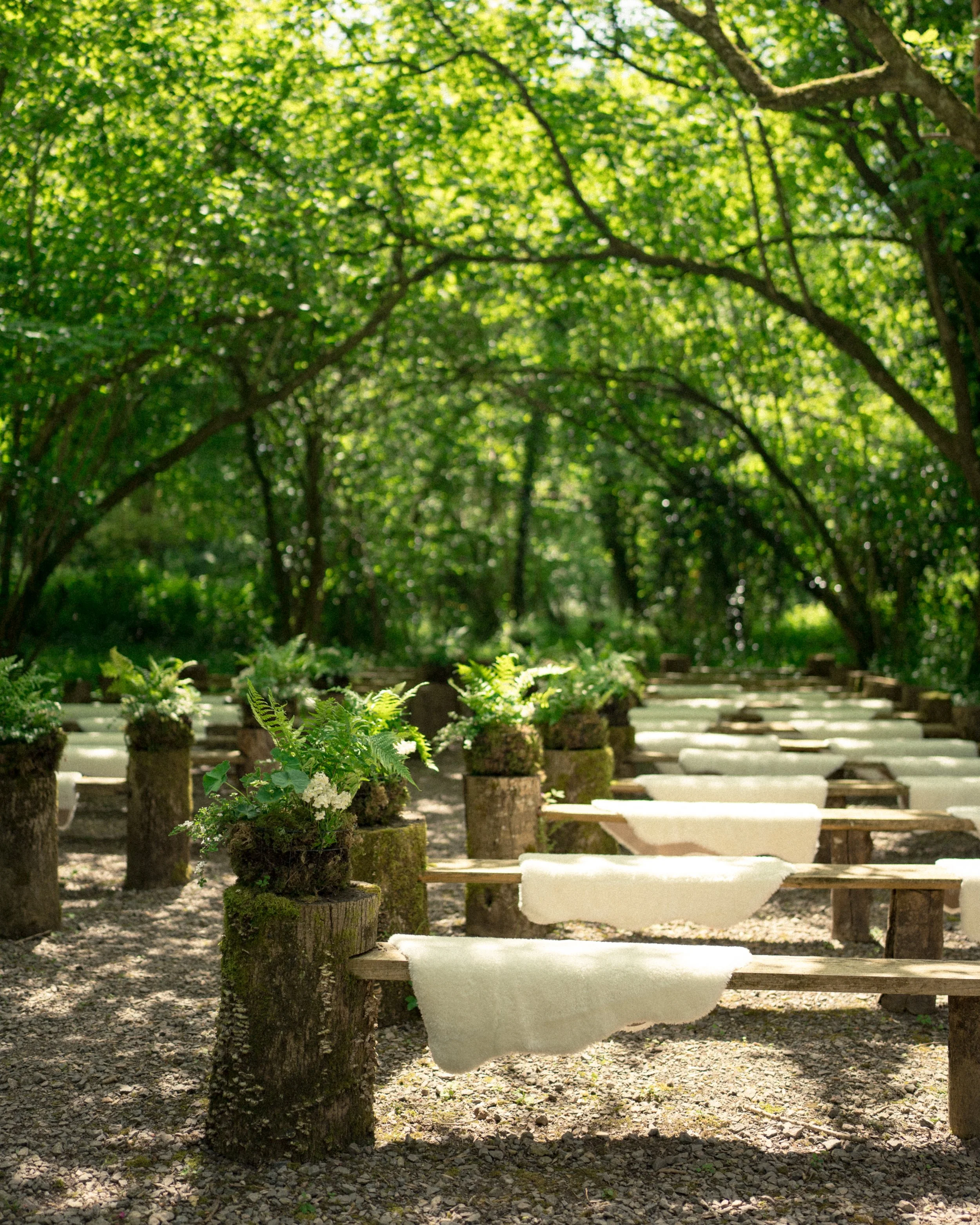 Outdoor setting with trees and sunlight, displaying white cushions on wooden benches arranged in rows, and arranged flower pots with greenery along the path.