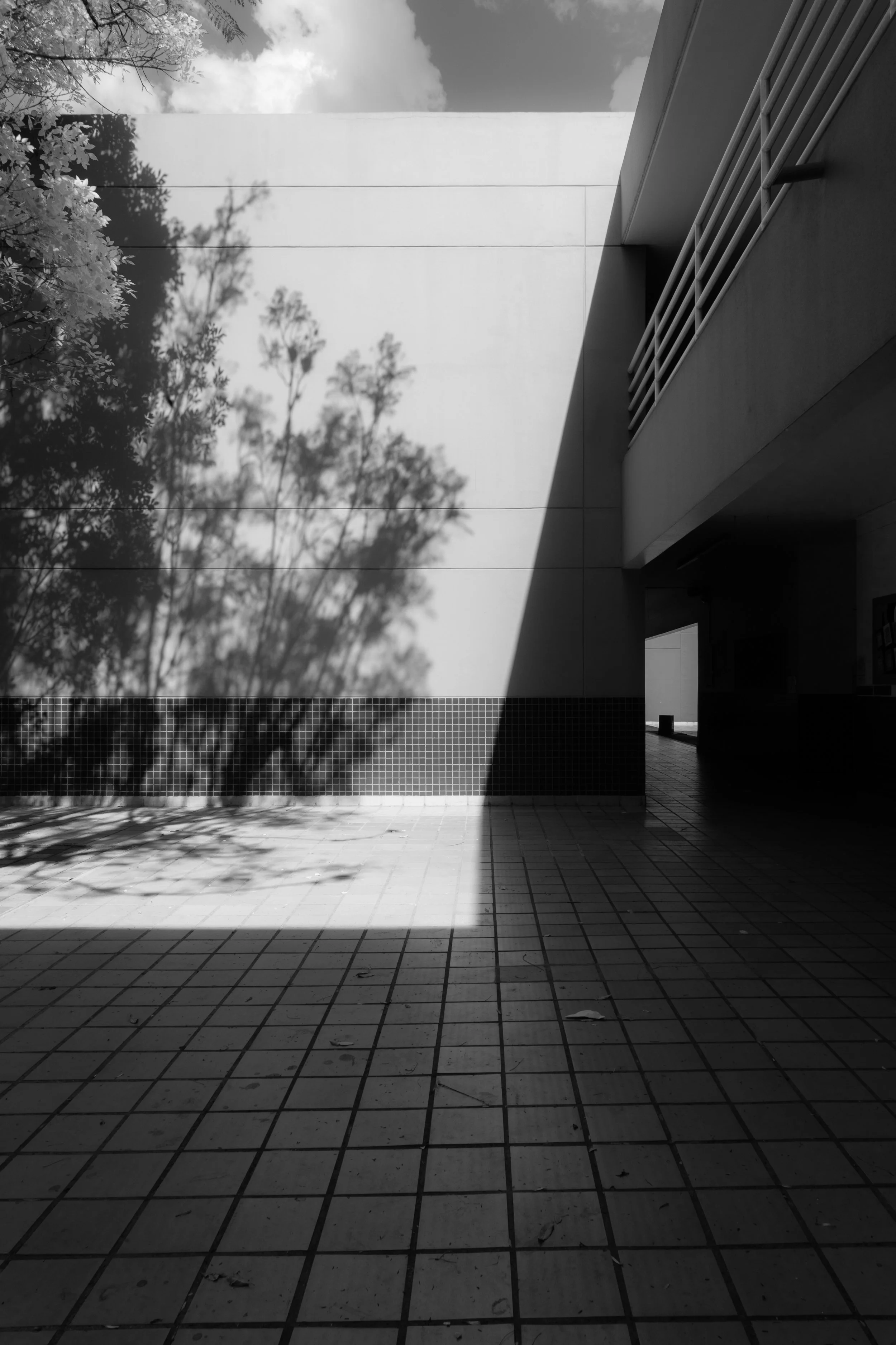 COLEGIO ALEMAN