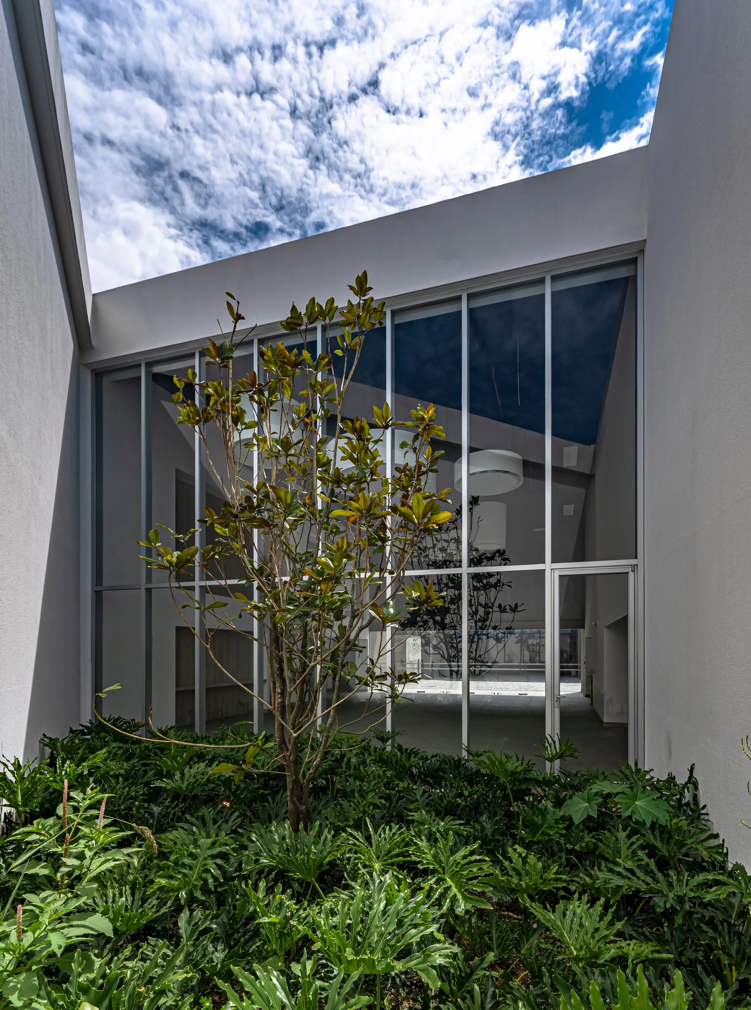 Alfredo R. - Auditorio Menor-136.jpg
