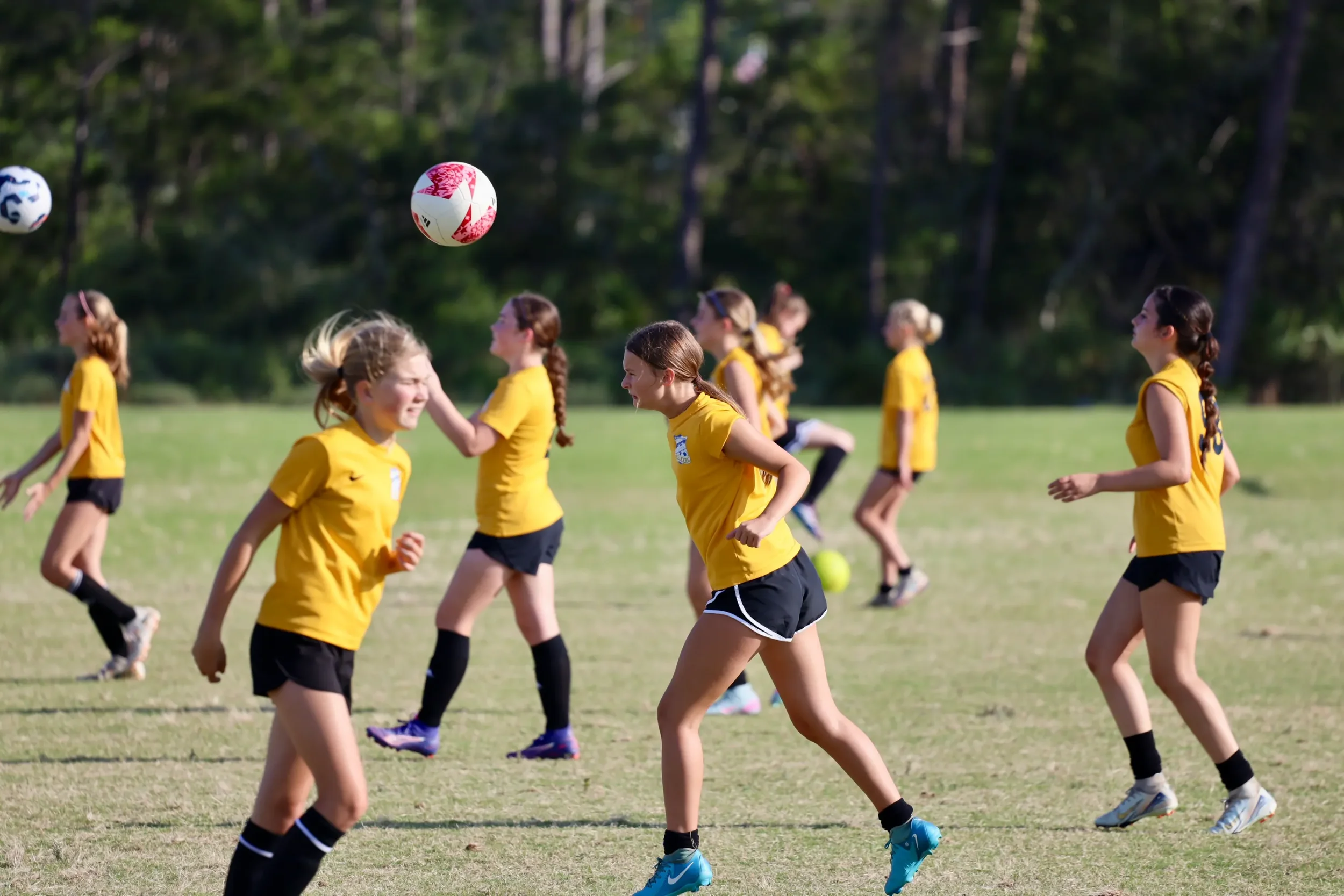 A group of young girls playing soccer outdoors on a grassy field, wearing yellow shirts and black shorts, with some moving and others standing, with trees in the background.