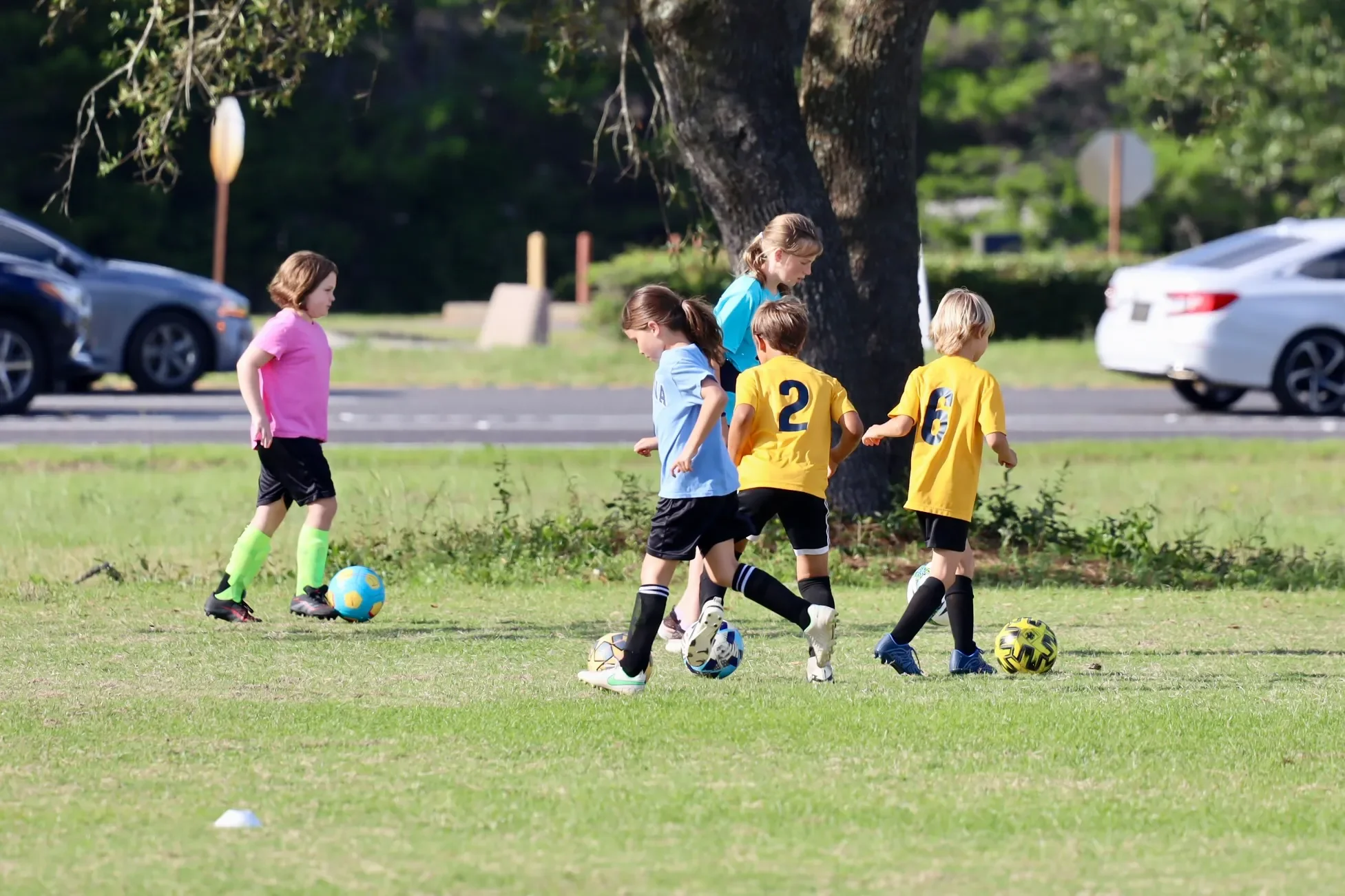 Children playing soccer on a grassy field near a large tree, with cars parked in the background.