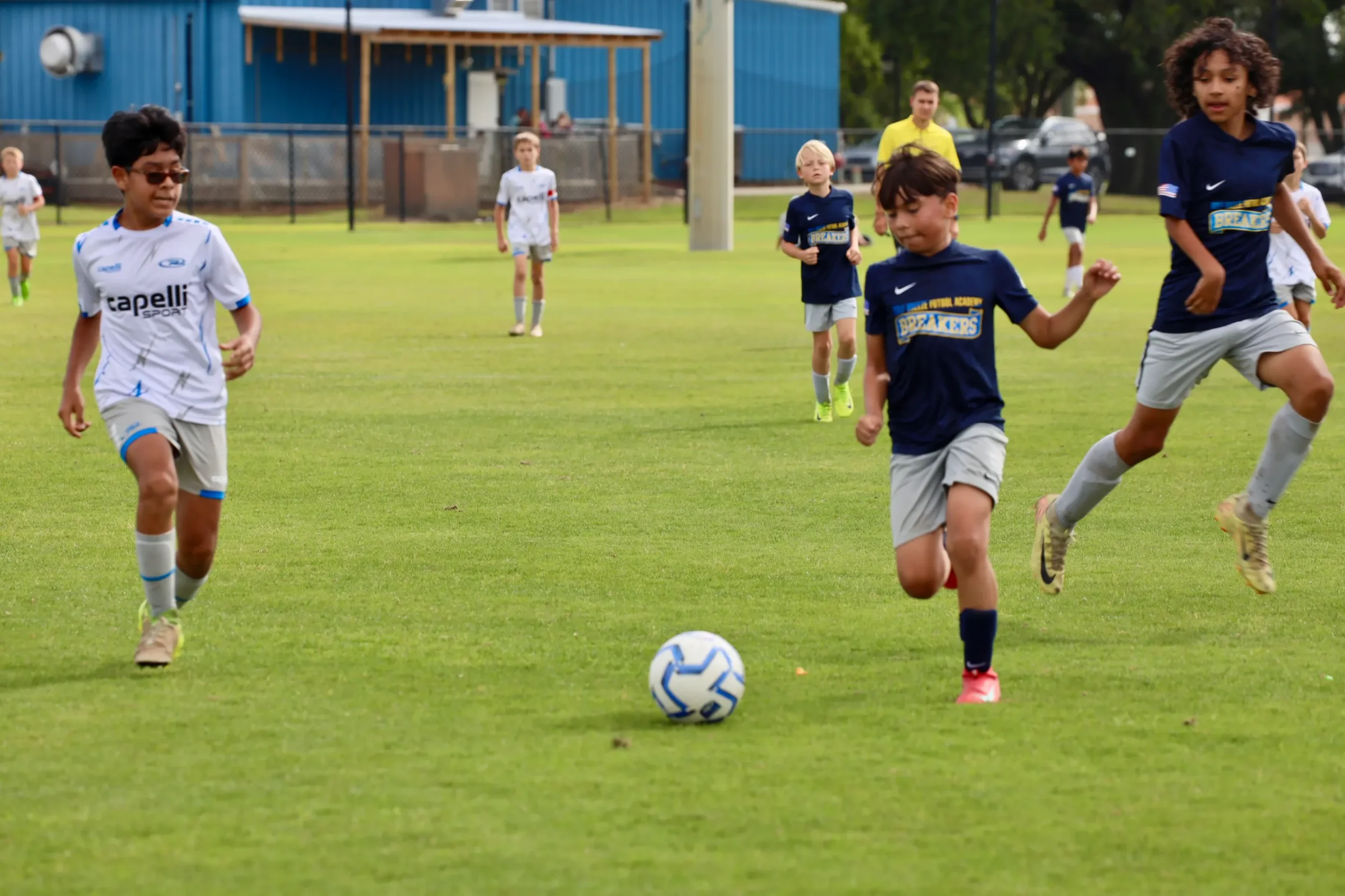 Young boys playing soccer on a green field, some wearing blue and white jerseys, with soccer ball in the foreground.