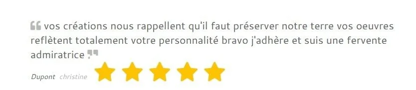 Citation en français avec cinq étoiles dorées en dessous.