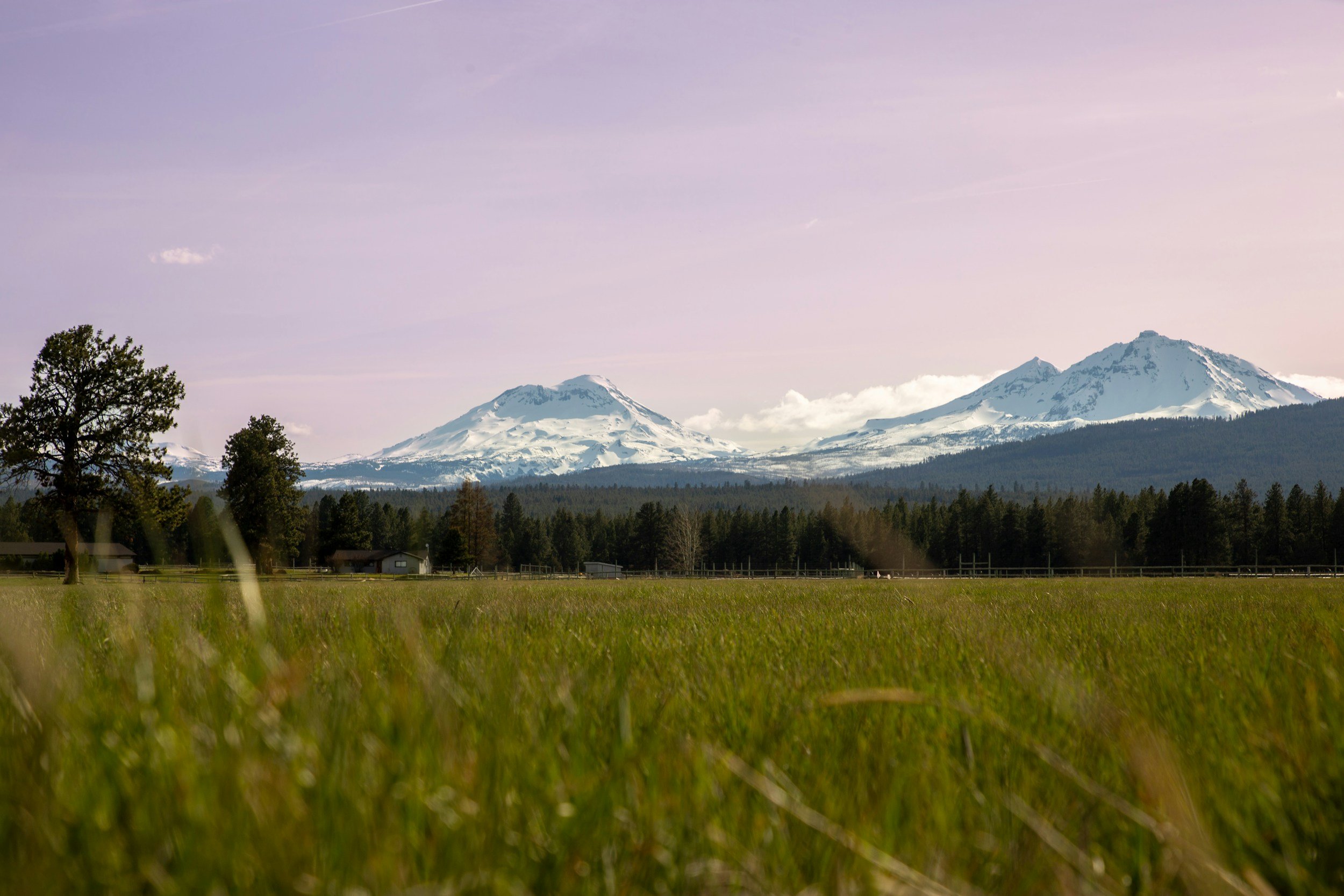 A scenic landscape featuring snow-capped mountains in the background, with a grassy field and scattered trees in the foreground in Sisters, Oregon. Electrical Services in Central Oregon.
