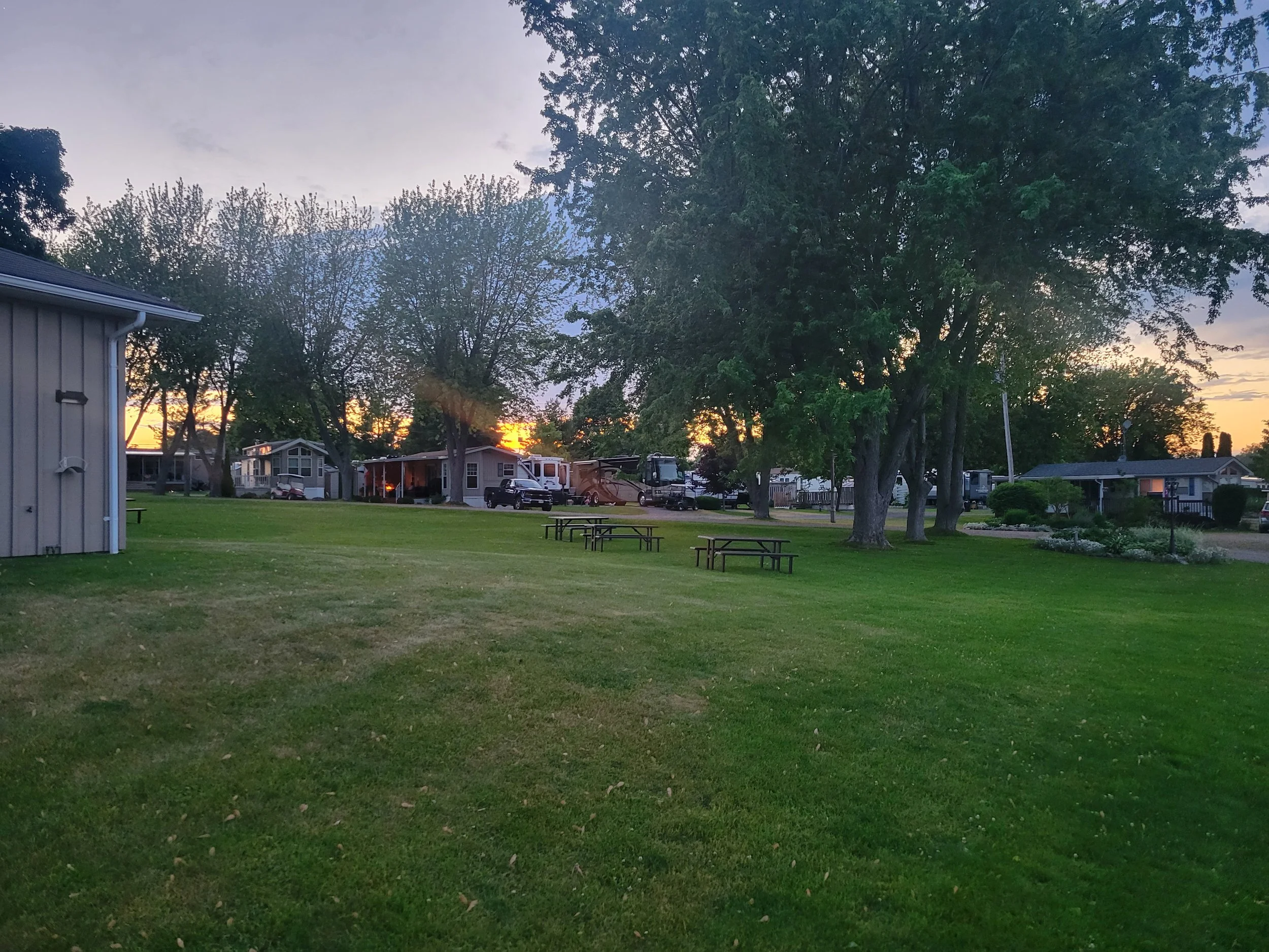 Summer night field.jpg