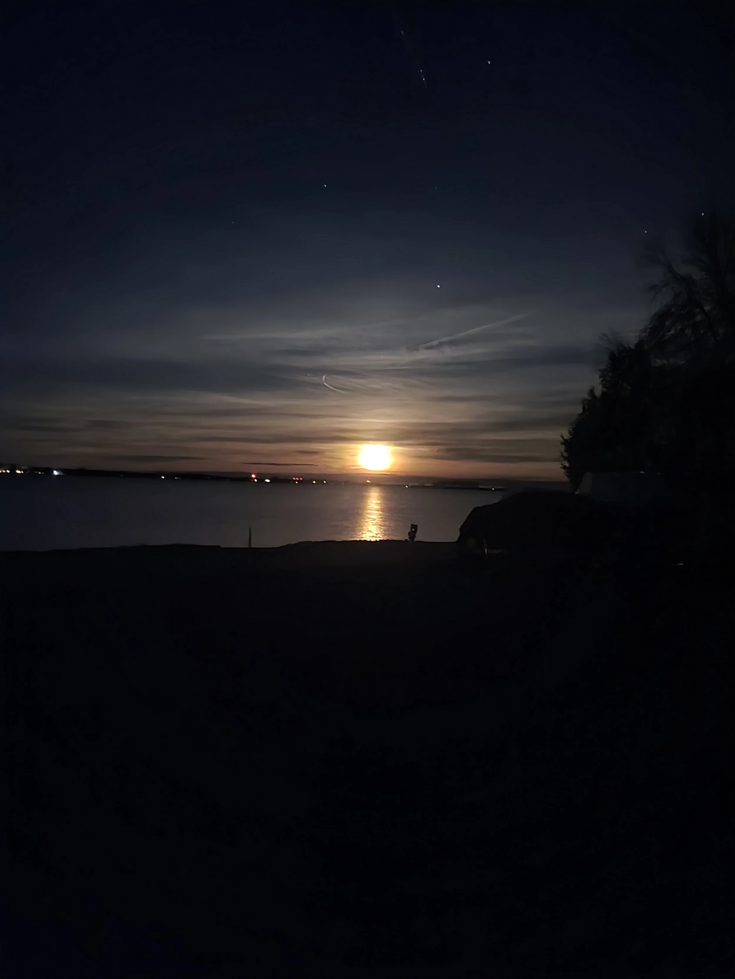 20260403_220355.jpg