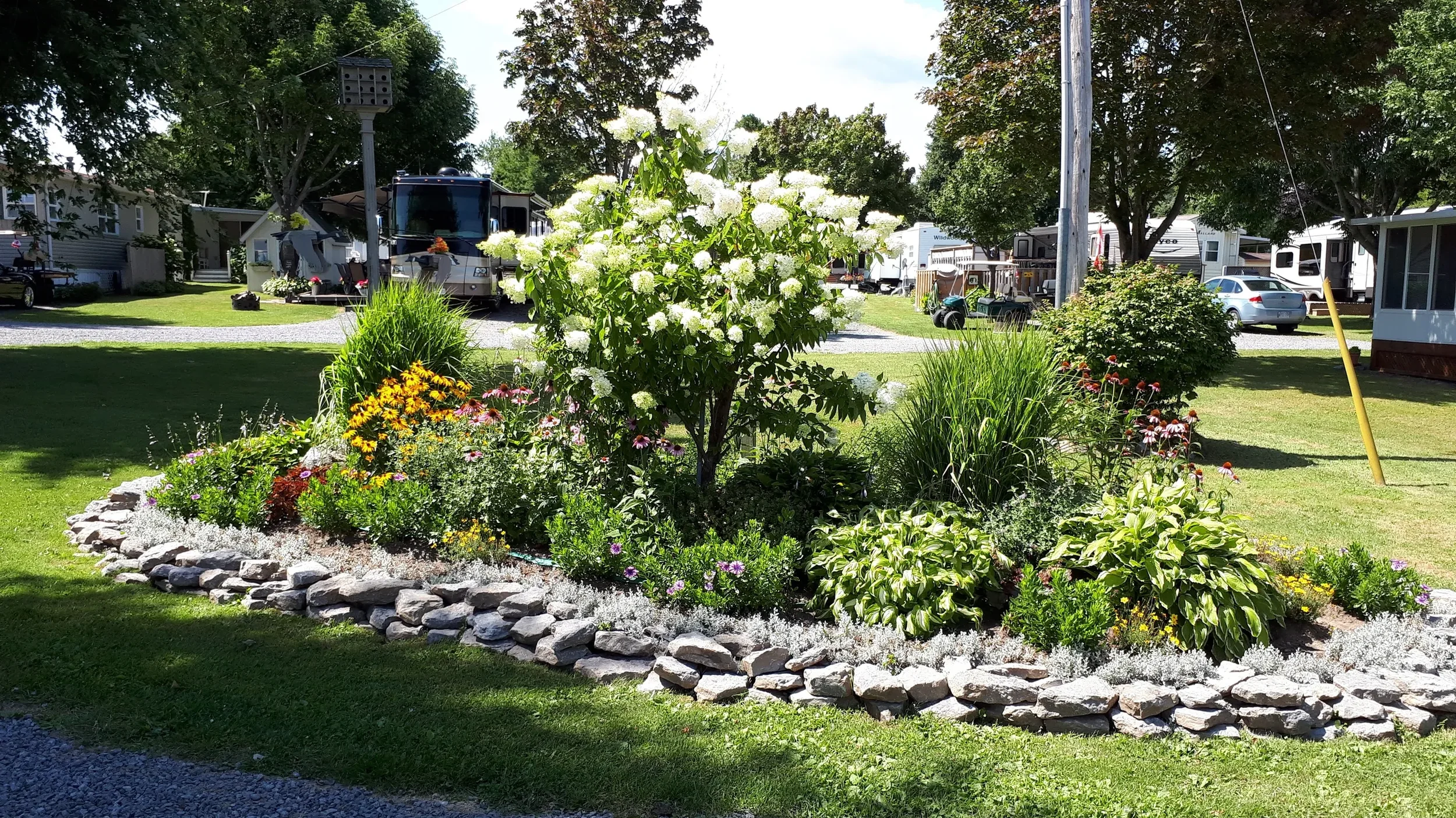 A landscaped garden with colorful flowers, a large flowering shrub, and a stone border in a suburban area with mobile homes and parked cars in the background.