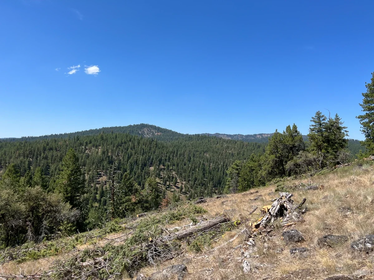 Magone Juniper Thinning Project – Malheur National Forest