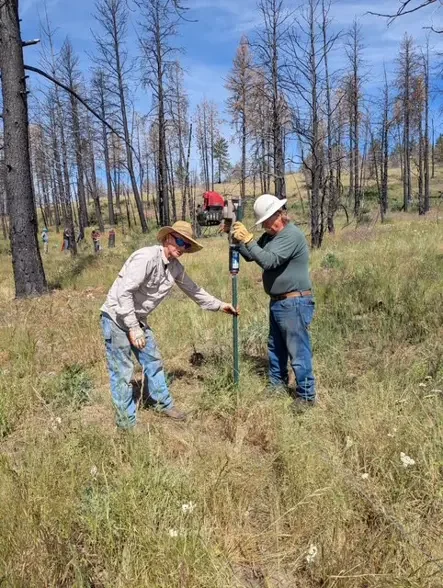 Using the T post pounder