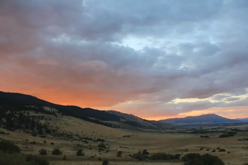 Landscape in the Blue Mountains area