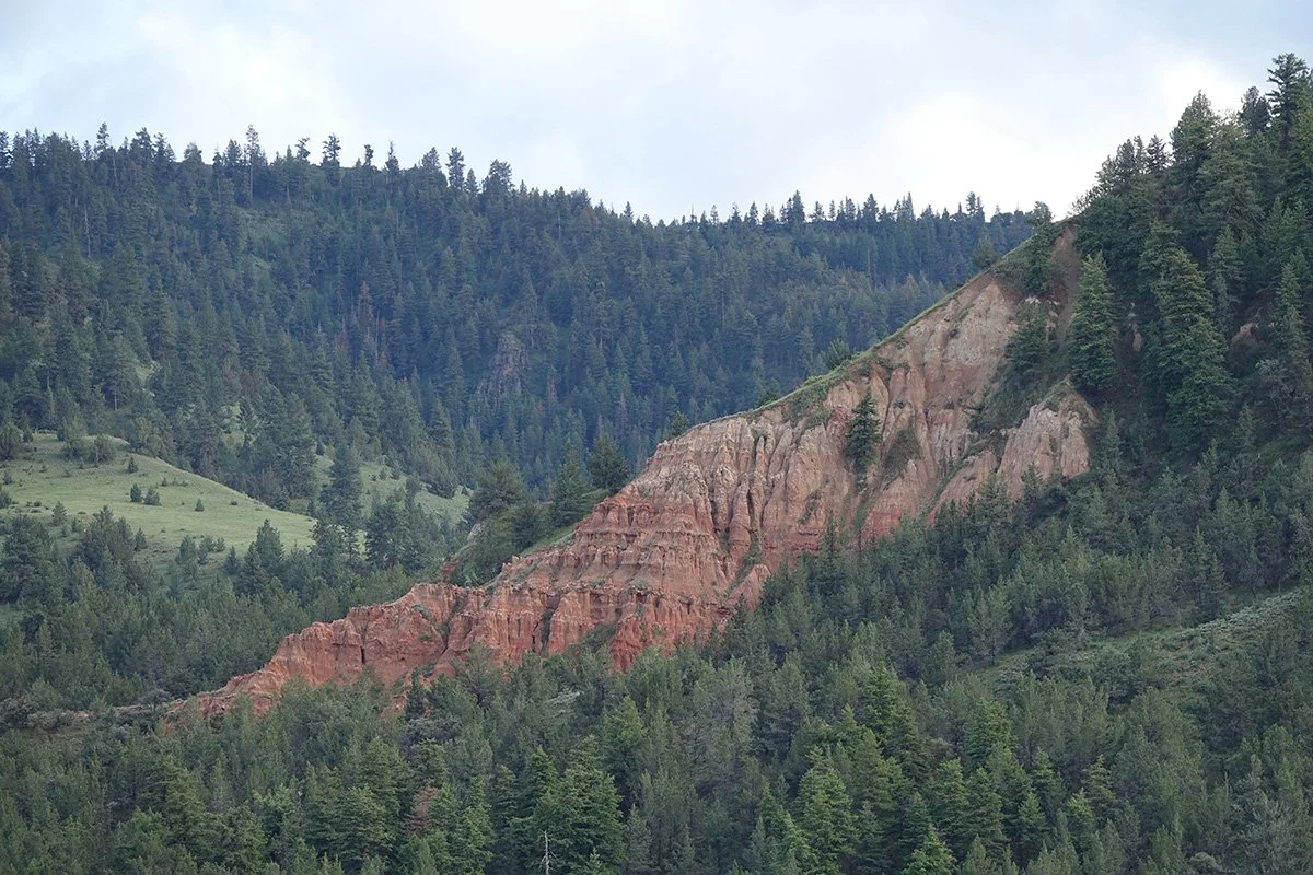 Mountain and forest