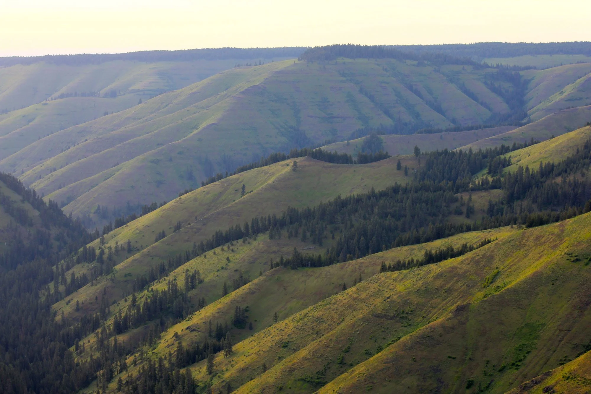 Landscape in the Blue Mountains area