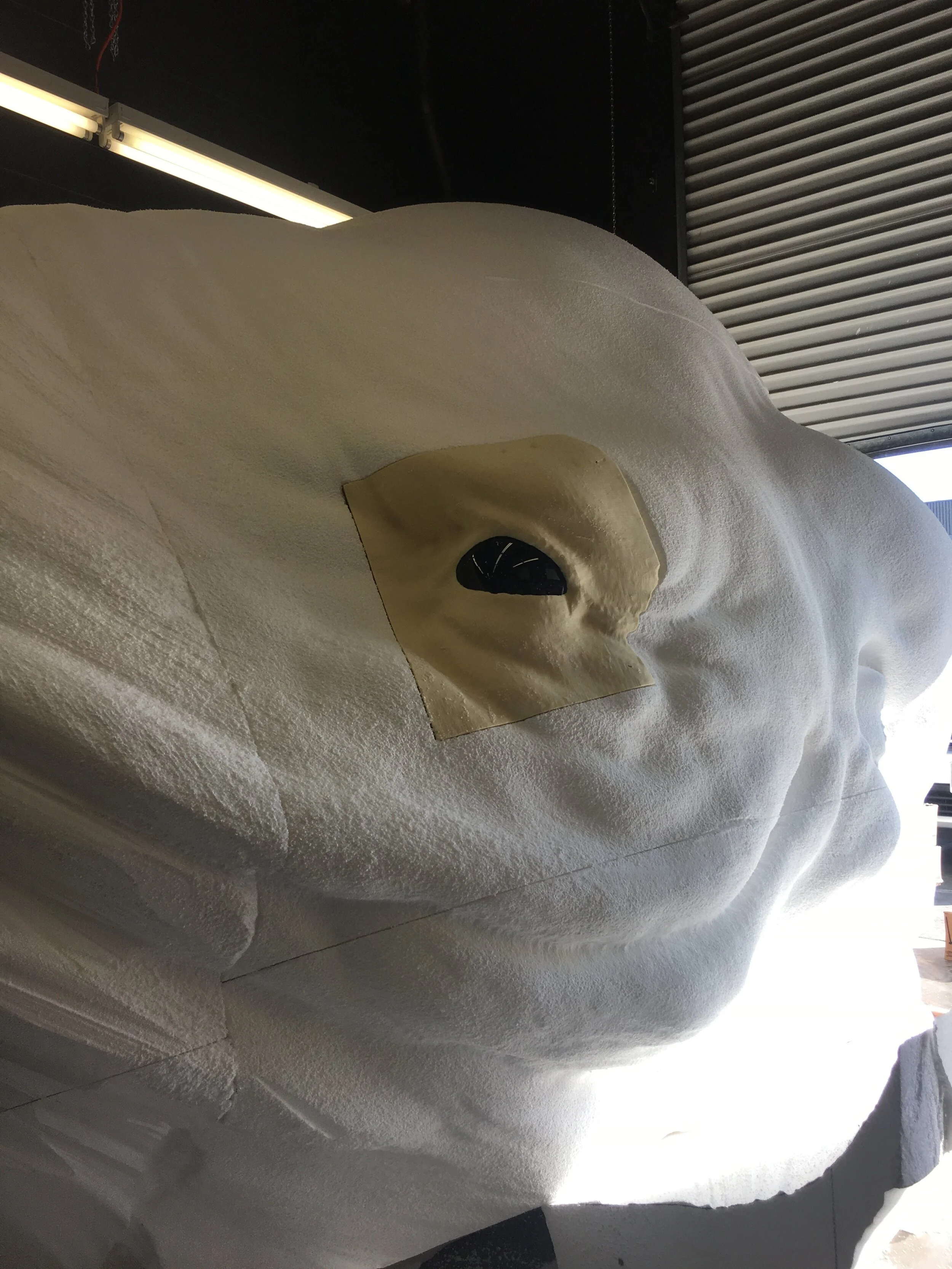Photo+Aug+23%2C+5+24+02+PM.jpg.webp