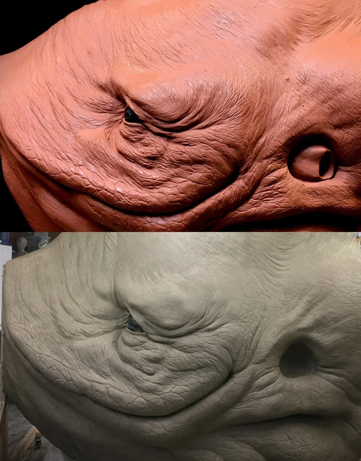 Photo+Aug+30%2C+7+54+21+PM.jpg.webp