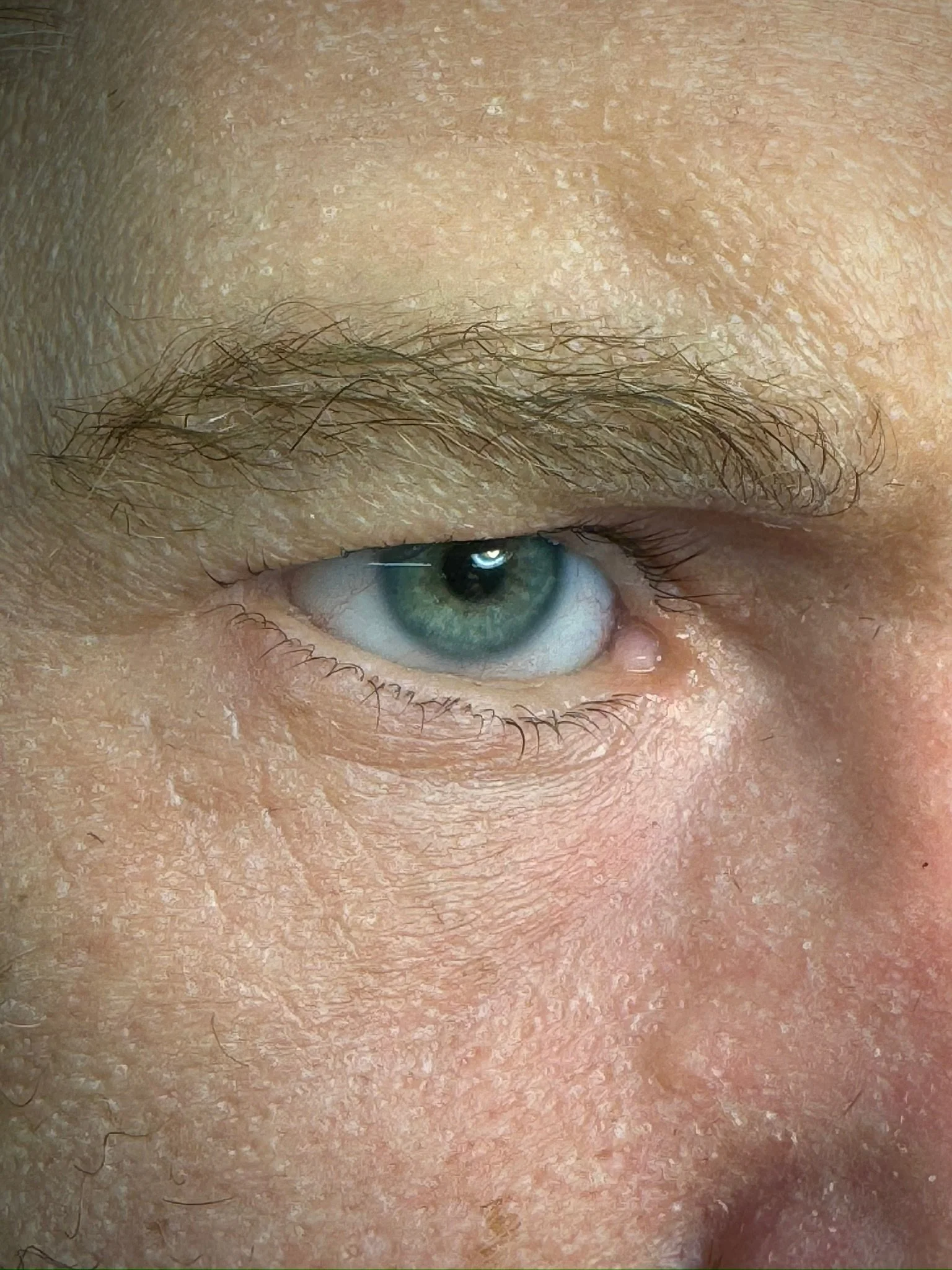 IMG_2489.JPG