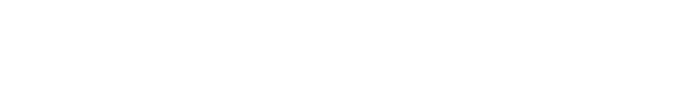 ZRH Consulting