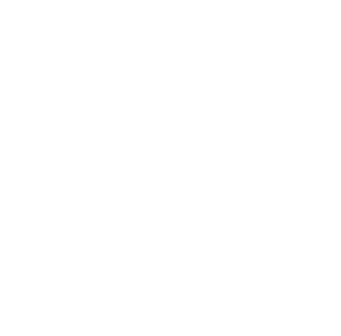 ZRH Consulting