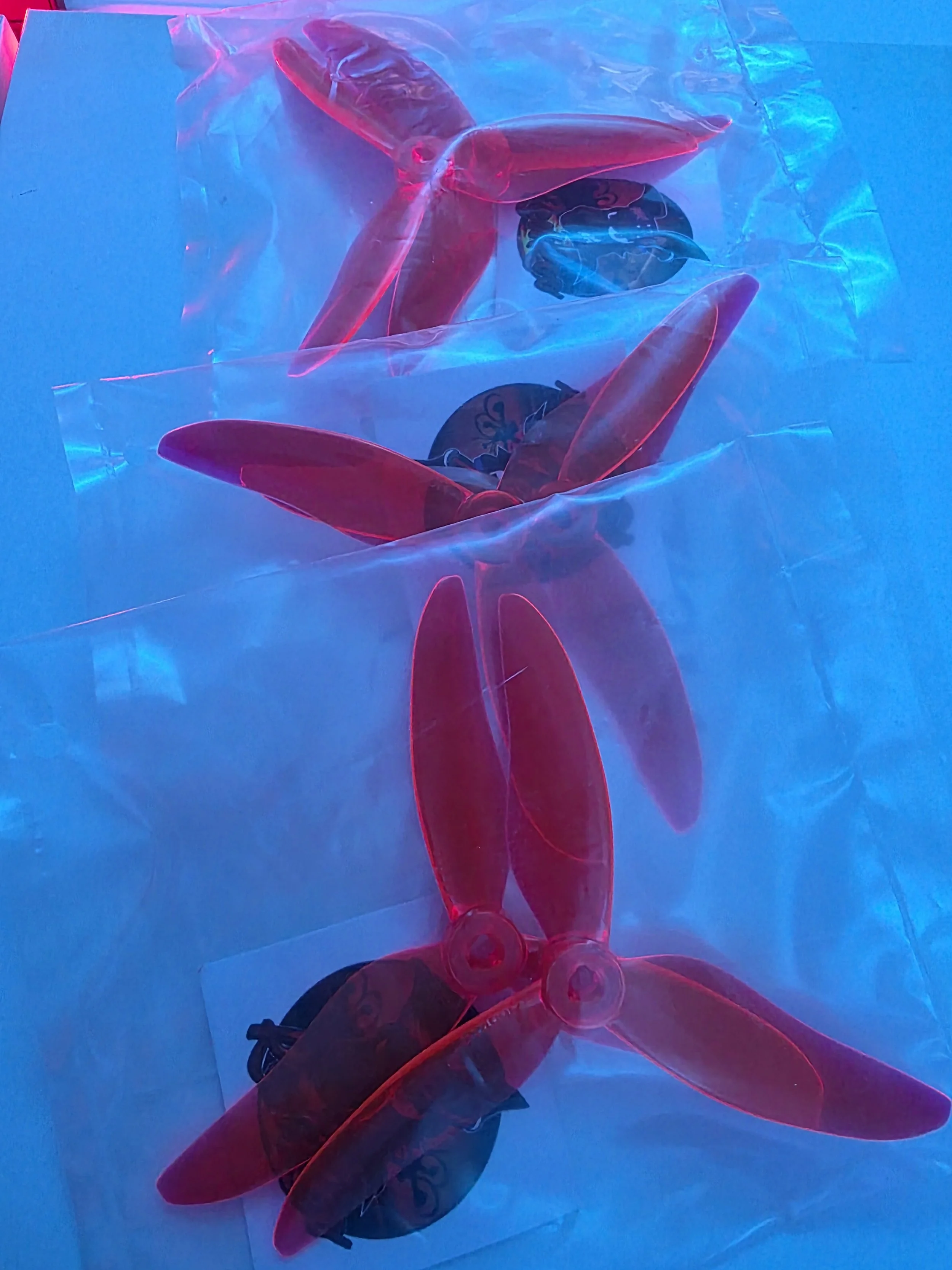 20260517_215123.jpg