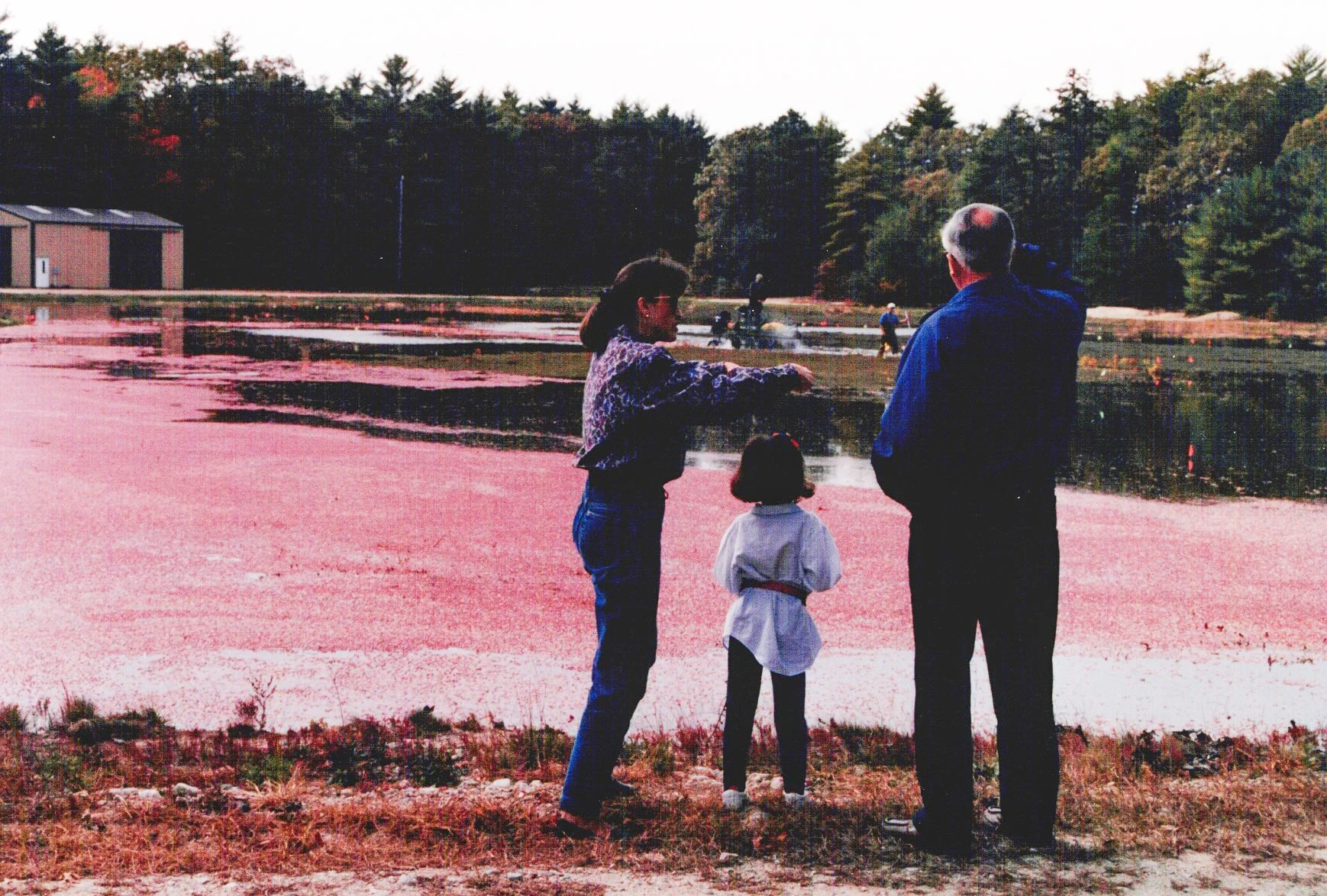 Scan2026-05-11_214830_004.jpg