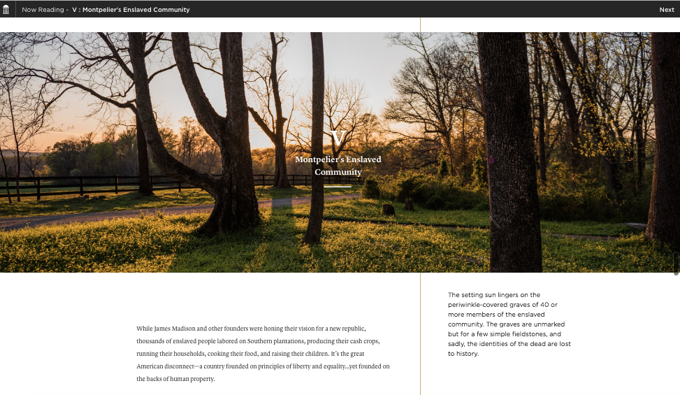 Montpelier - Concept, Editorial, Photography