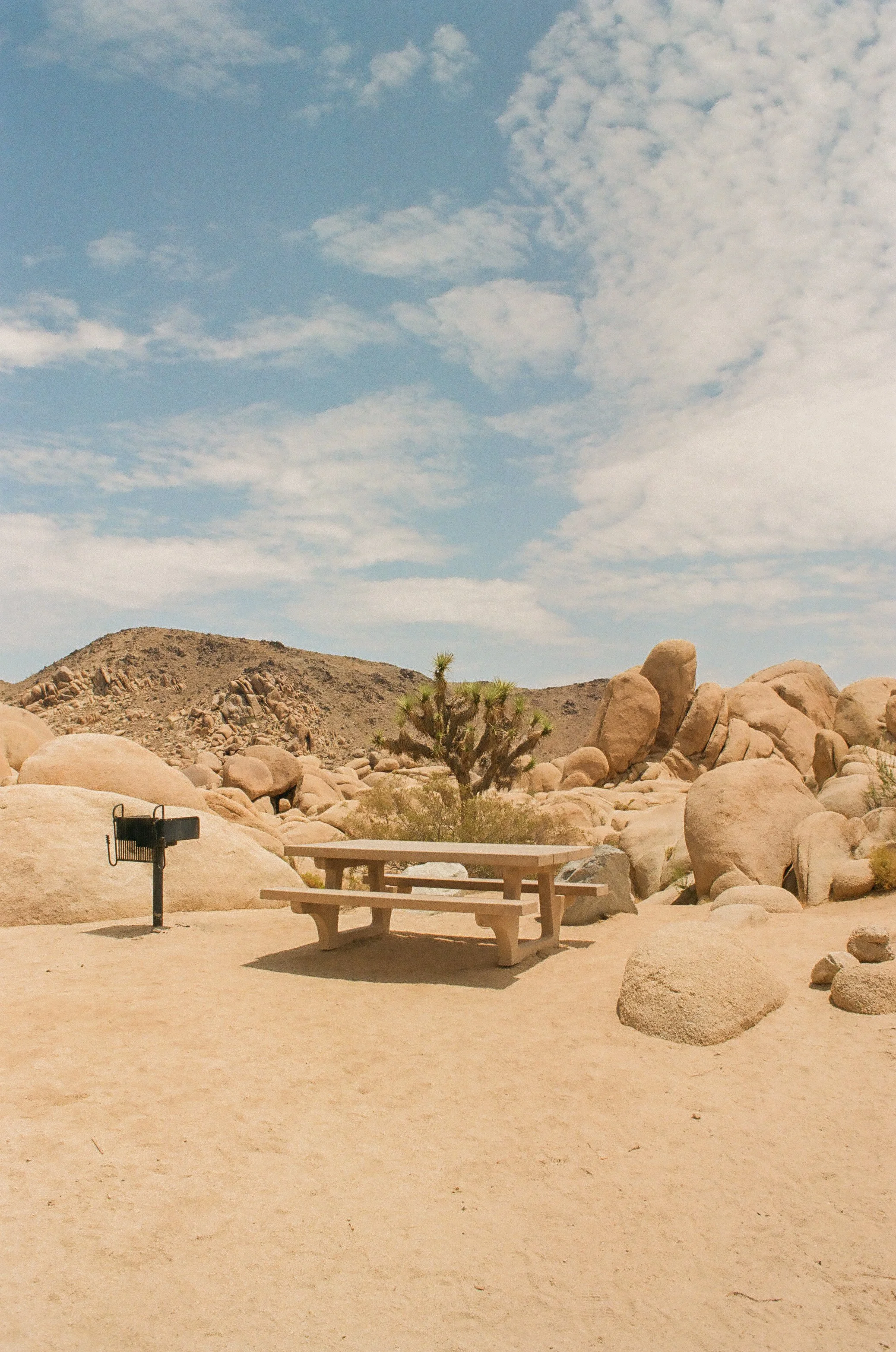 Joshua Tree