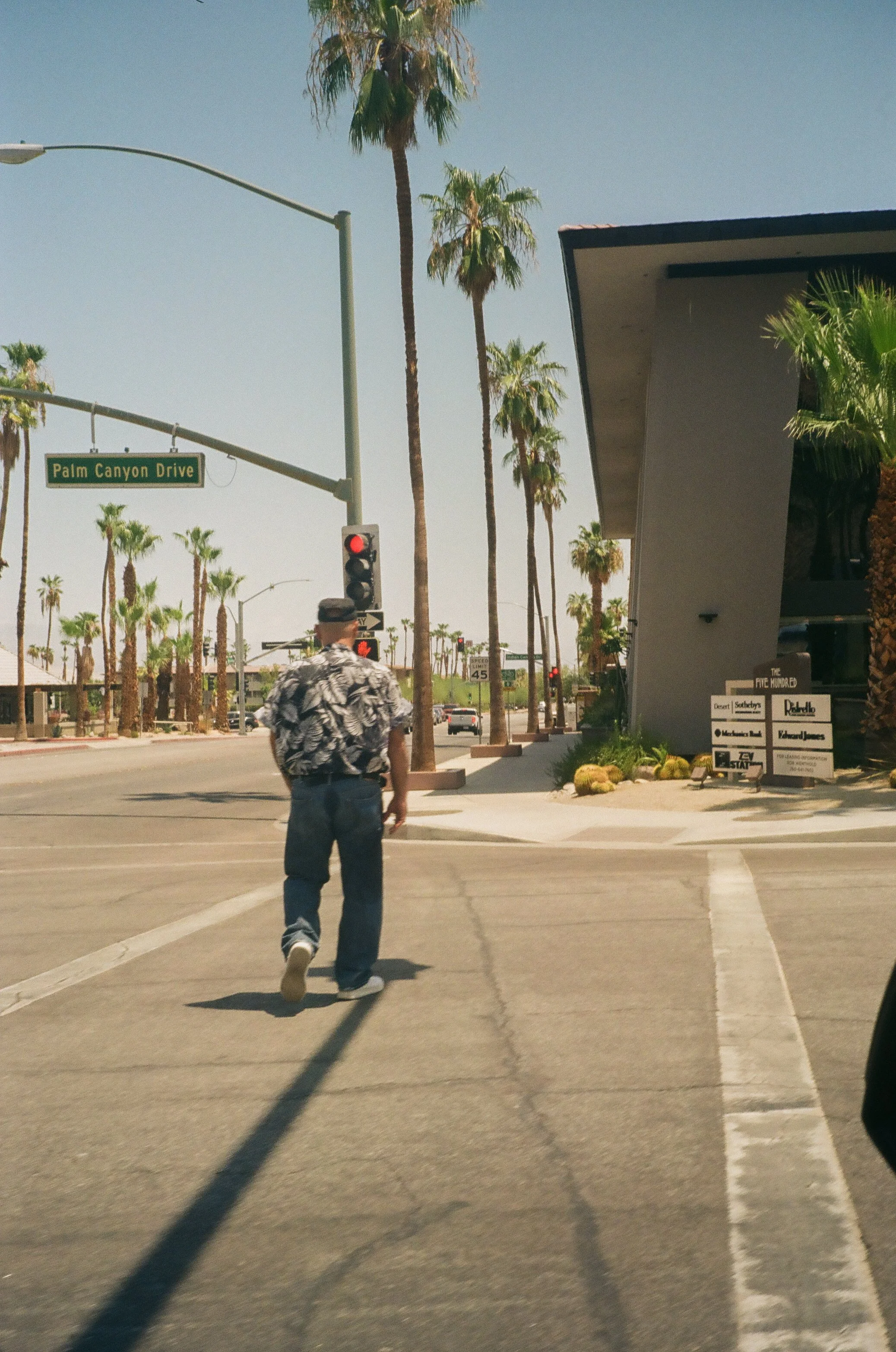 Palm Canyon Walk