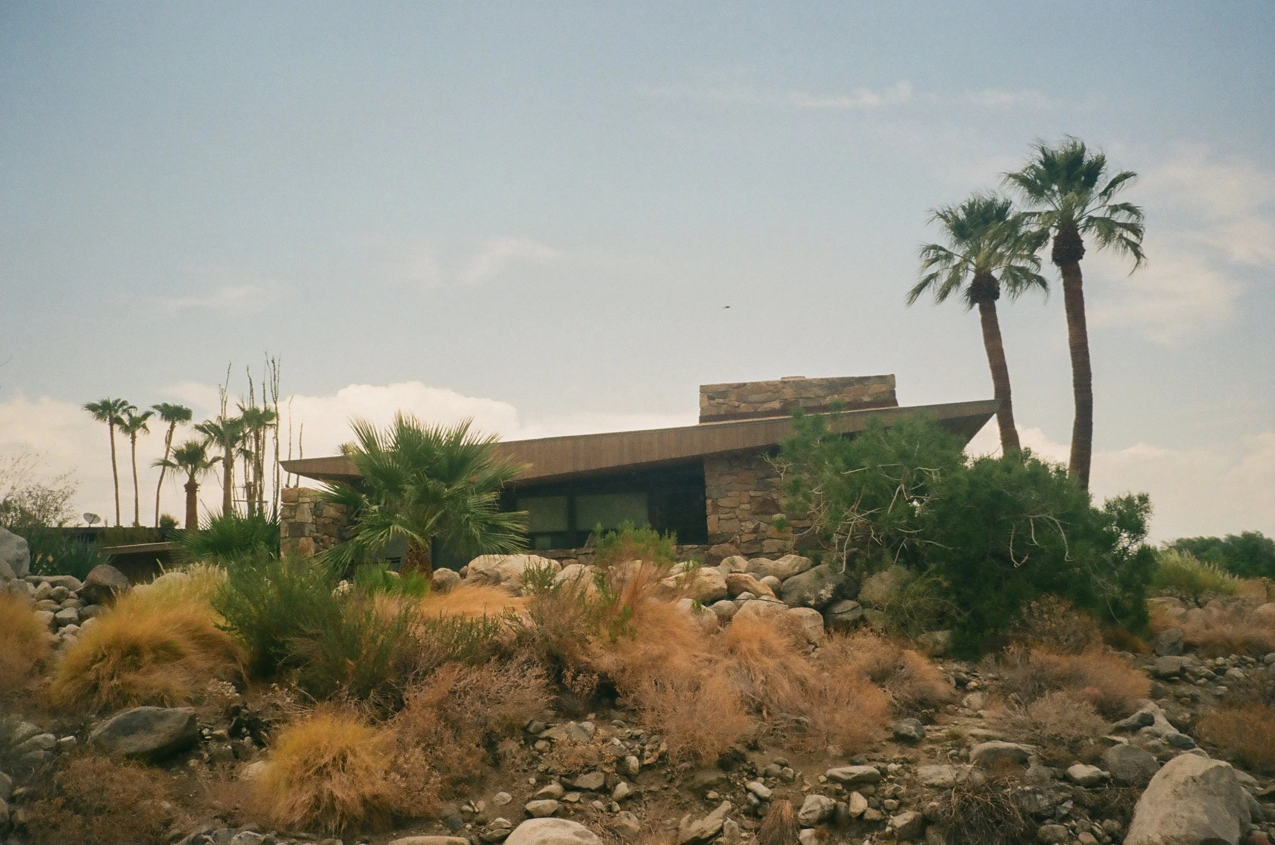 Palm Springs Captured