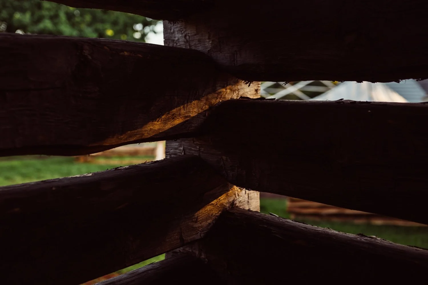 Close-up view of stacked wooden logs with sunlight reflecting on their rough surface, showing texture and grain.