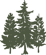 Evergreen Church