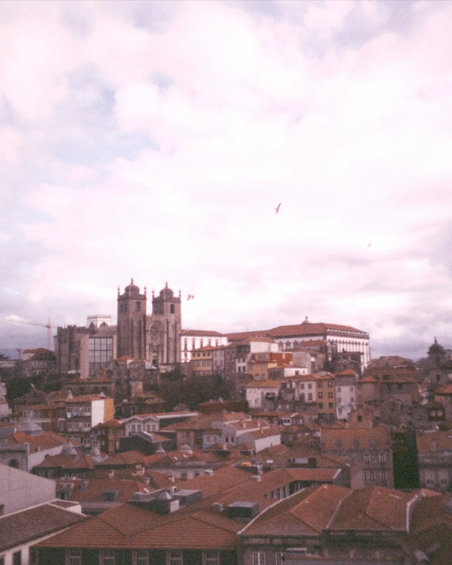 porto for a few days 💌 
 day trips to the douro, braga &amp; guimar&atilde;es