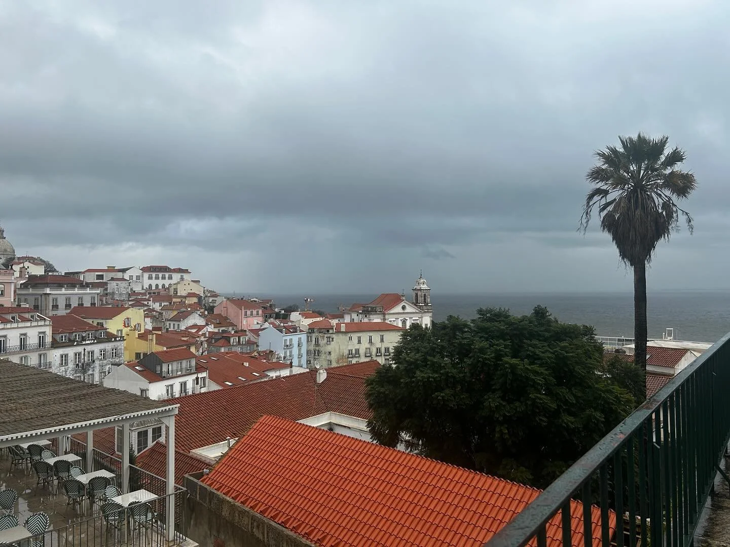 48 hours in lisboa 🐟🎣🇵🇹 (full food review later)