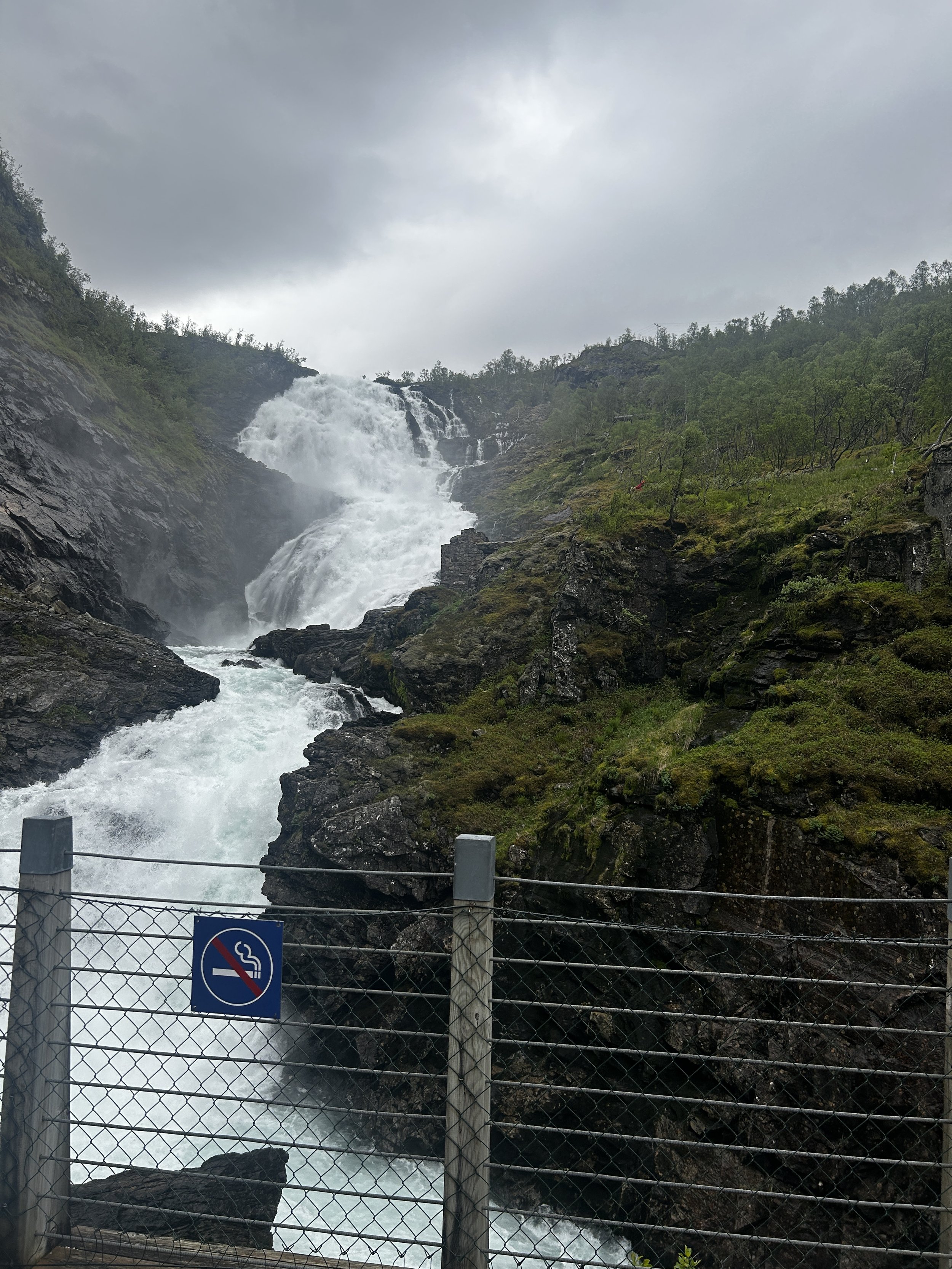 IMG_5305.JPG