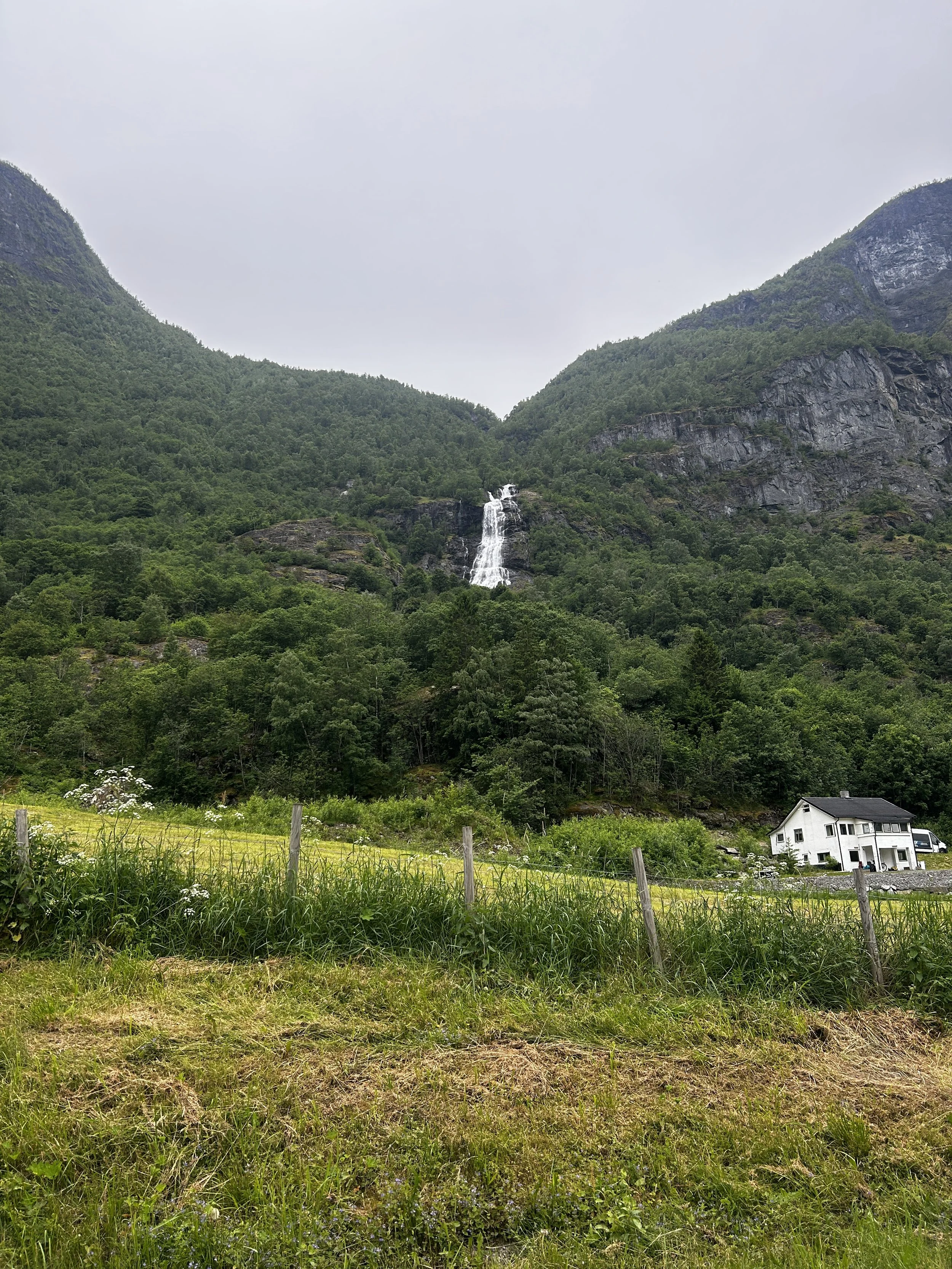 IMG_5275.JPG