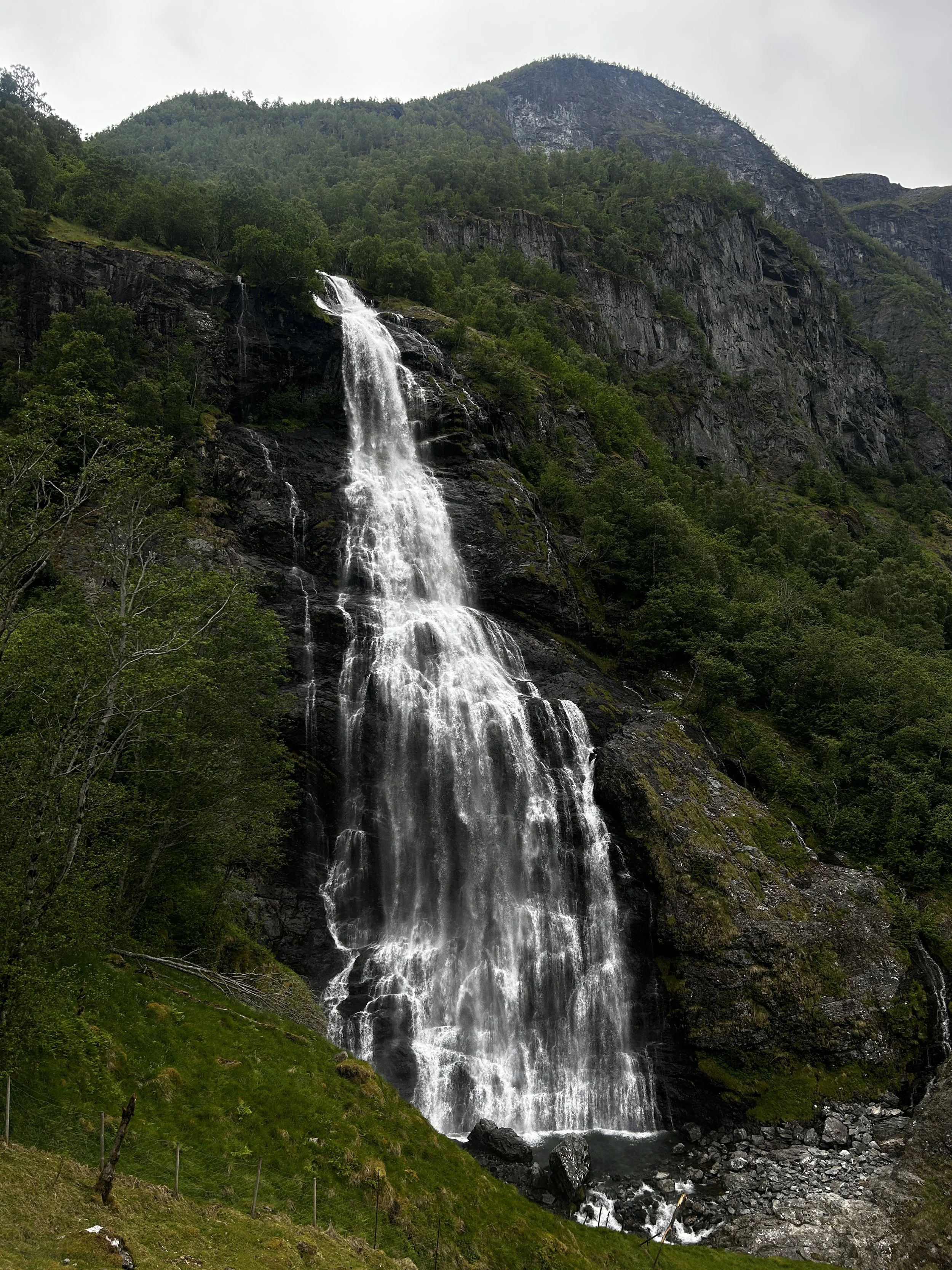 IMG_5266.JPG