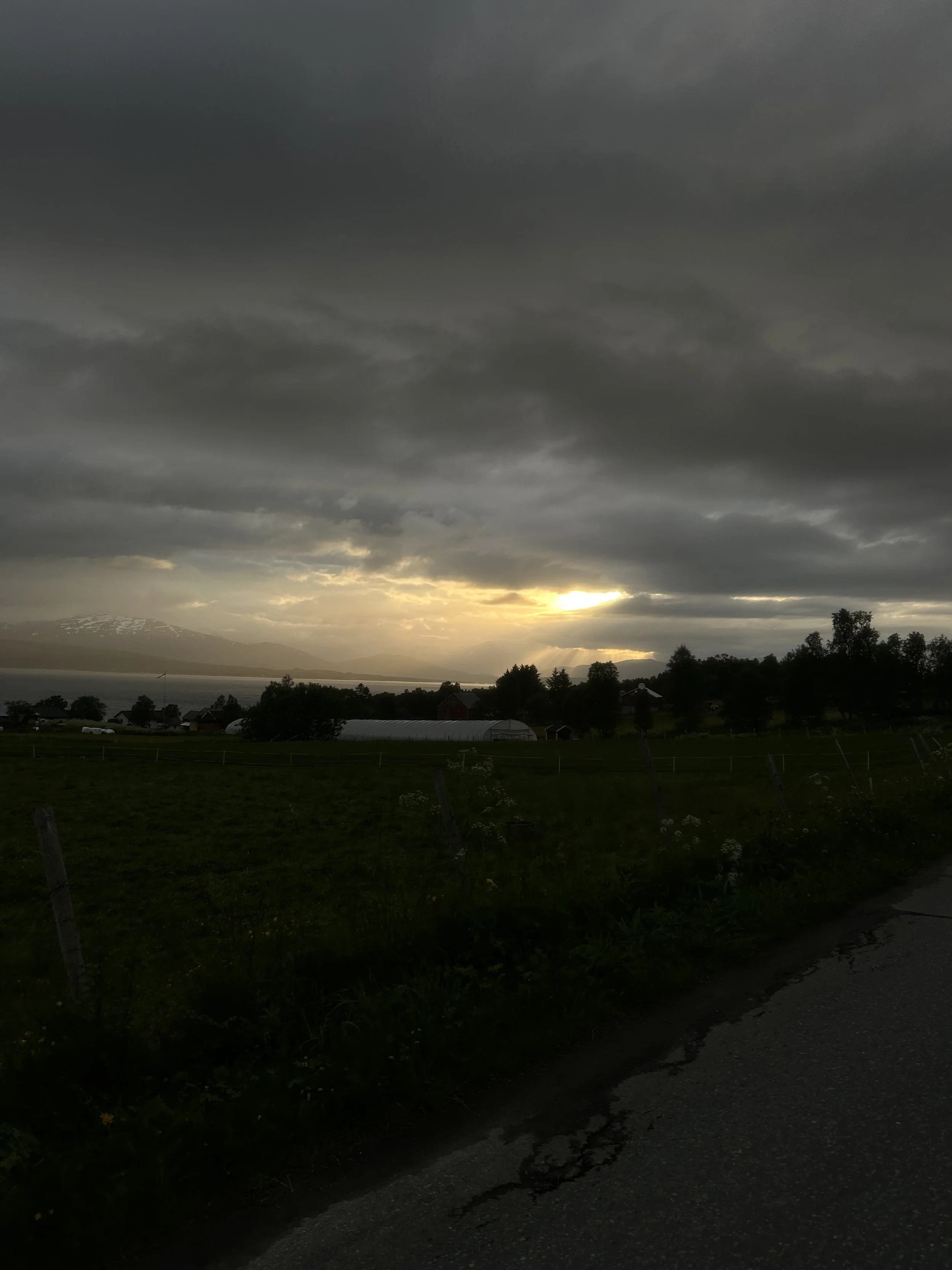 IMG_5417.JPG