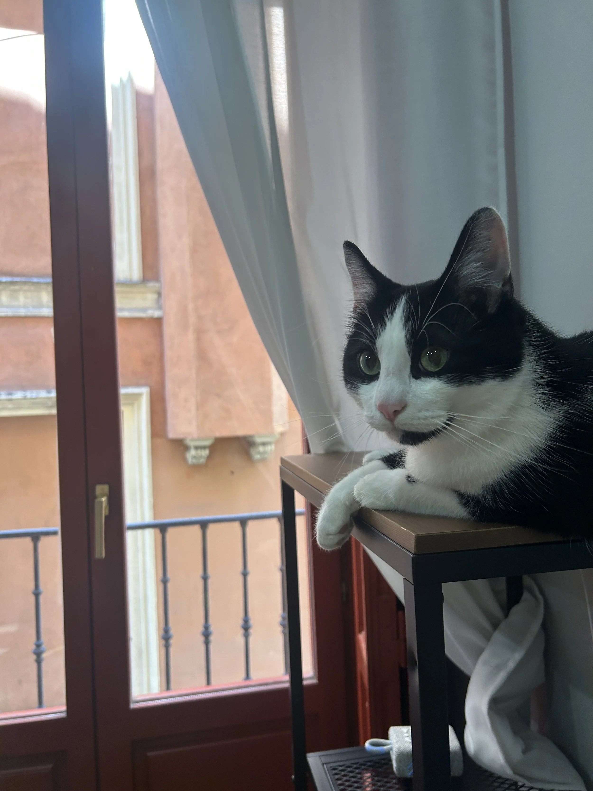 IMG_5542.jpeg