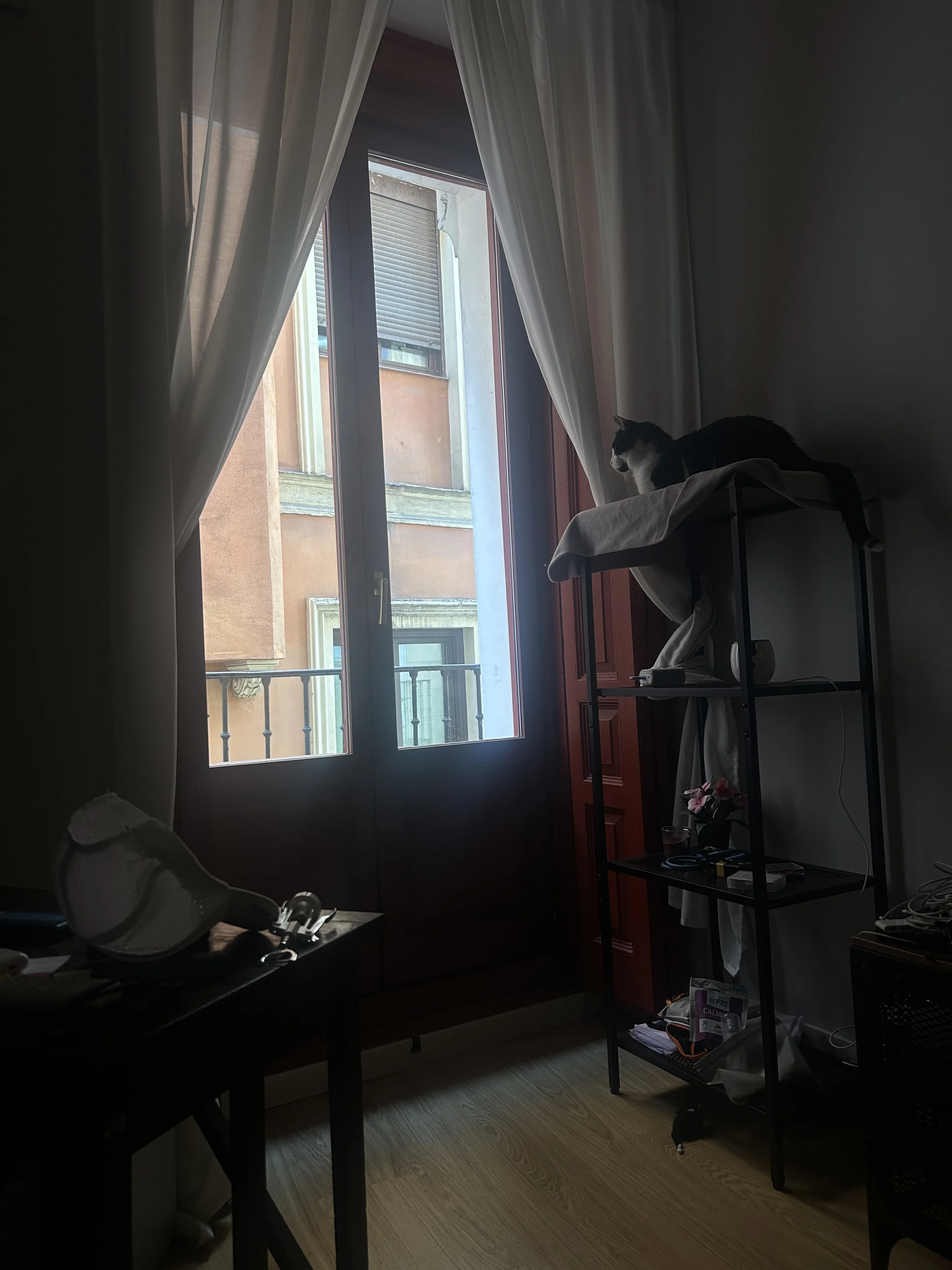 IMG_5585.jpeg