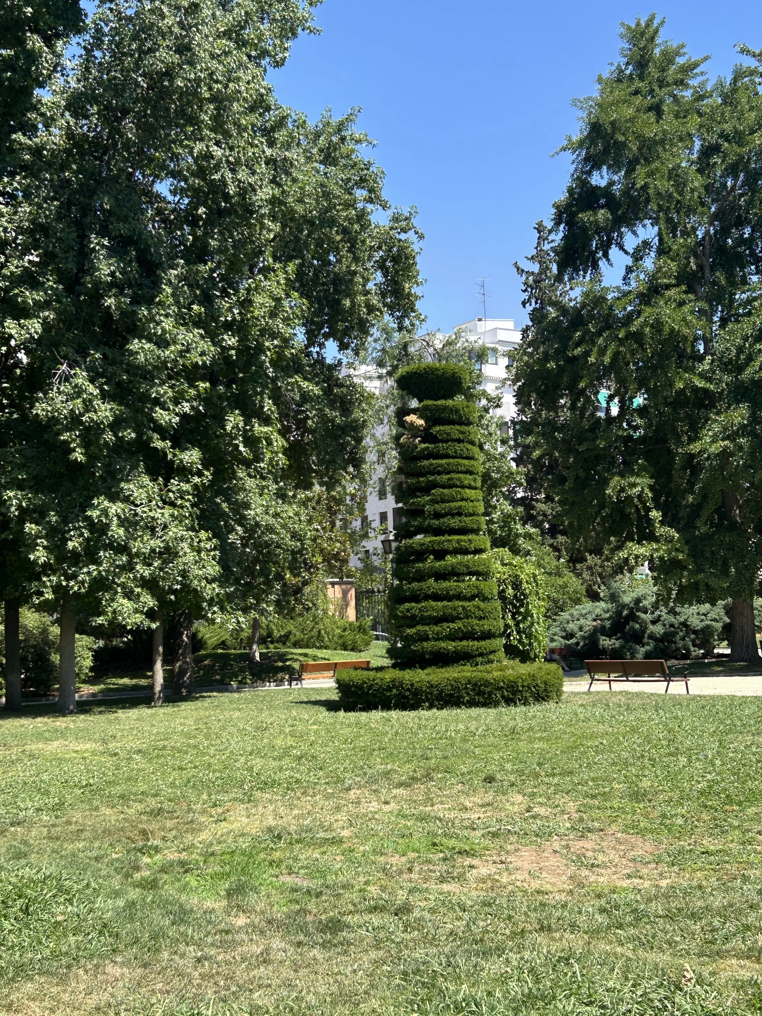 IMG_5634.jpeg