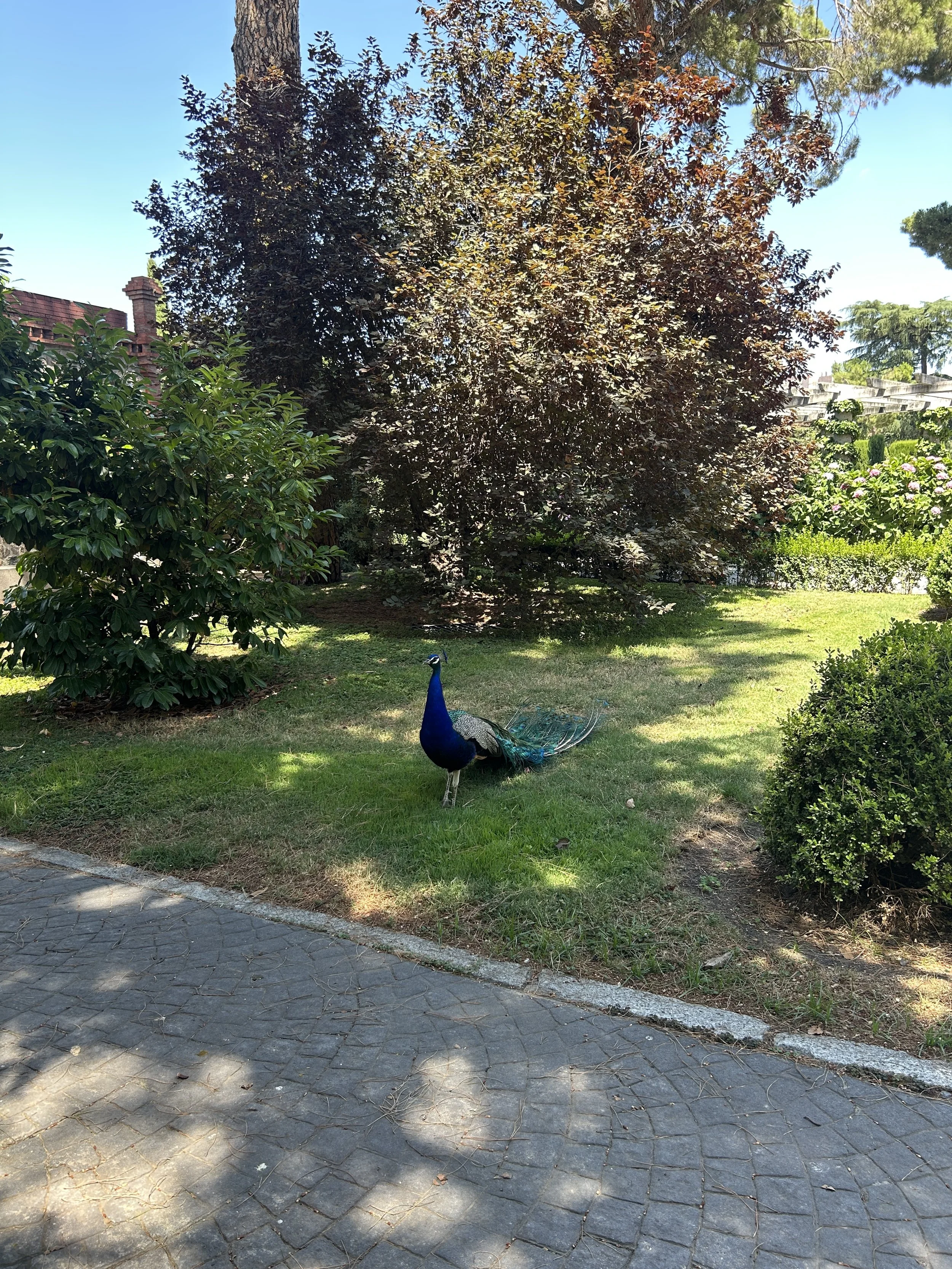 IMG_5640.jpeg