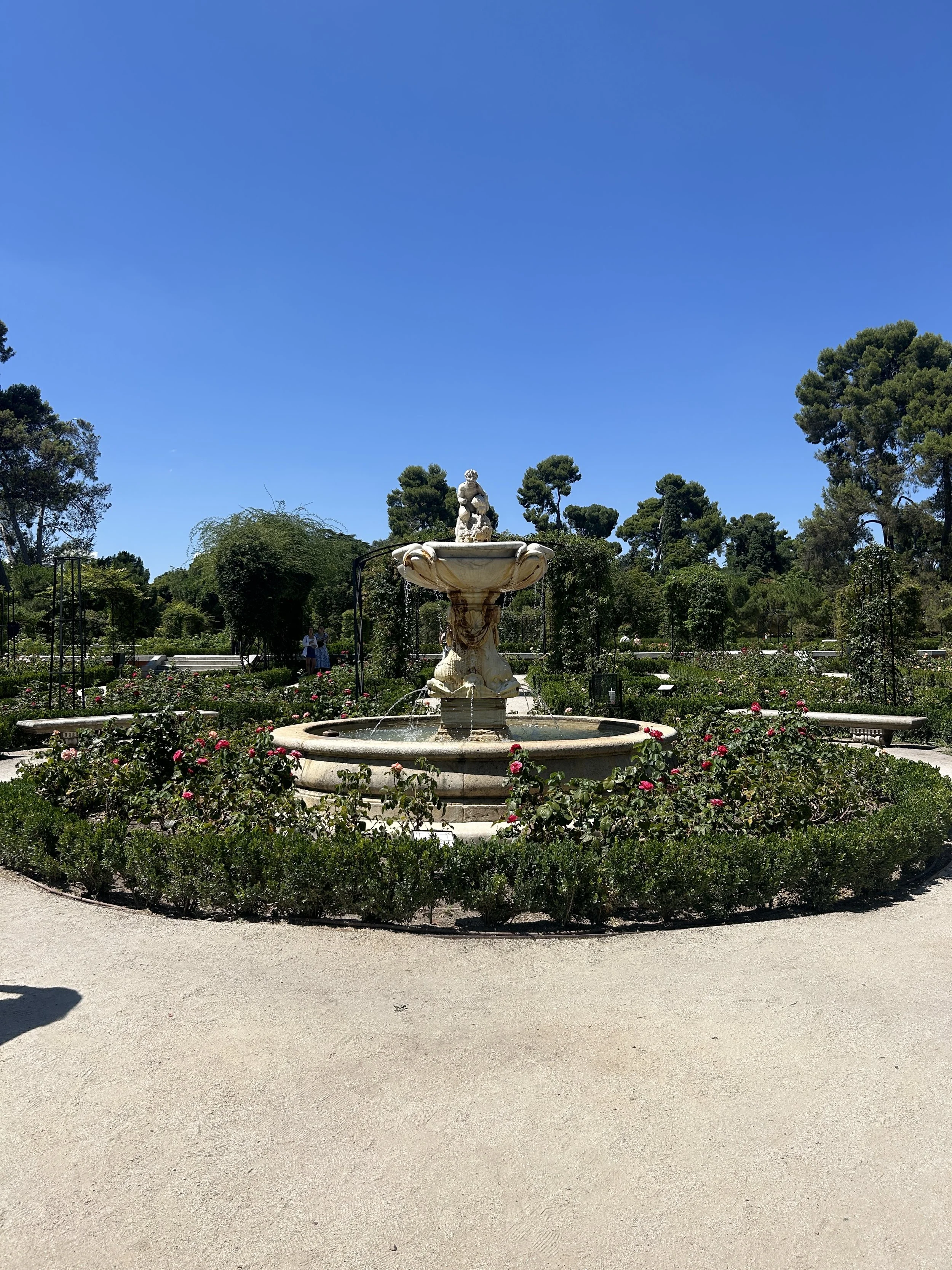 IMG_5645.jpeg