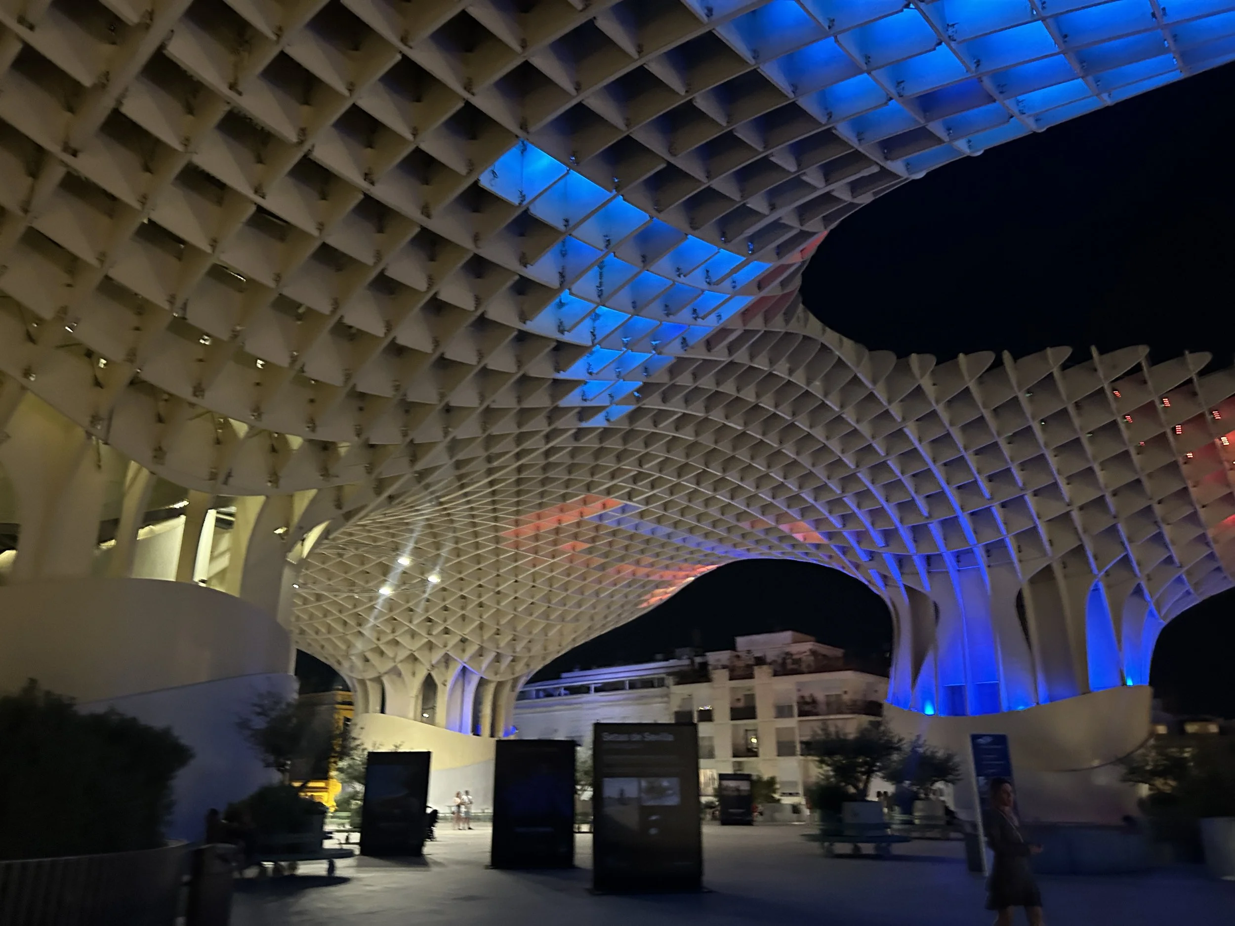 IMG_6019.jpeg