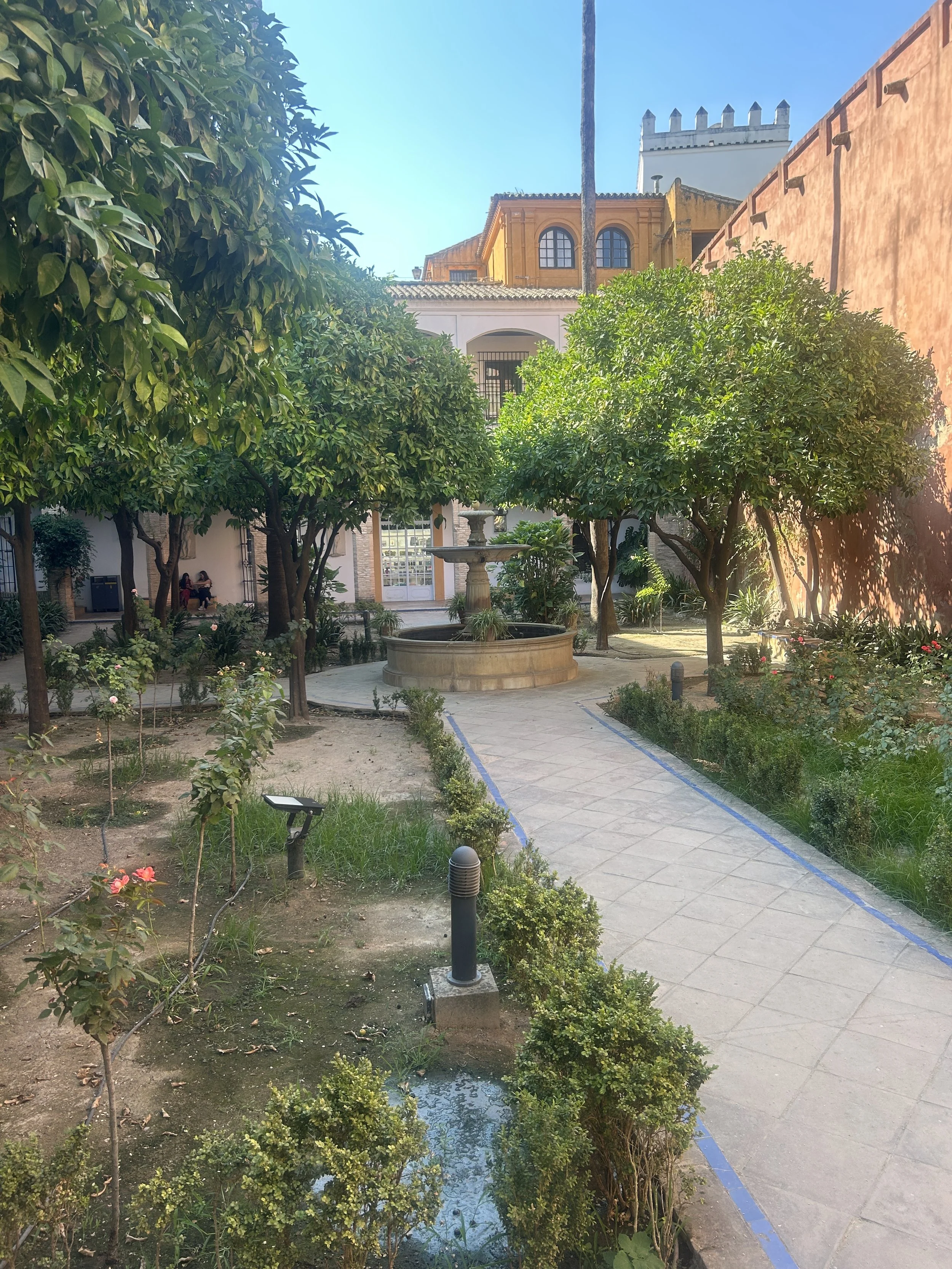 IMG_5995.jpeg
