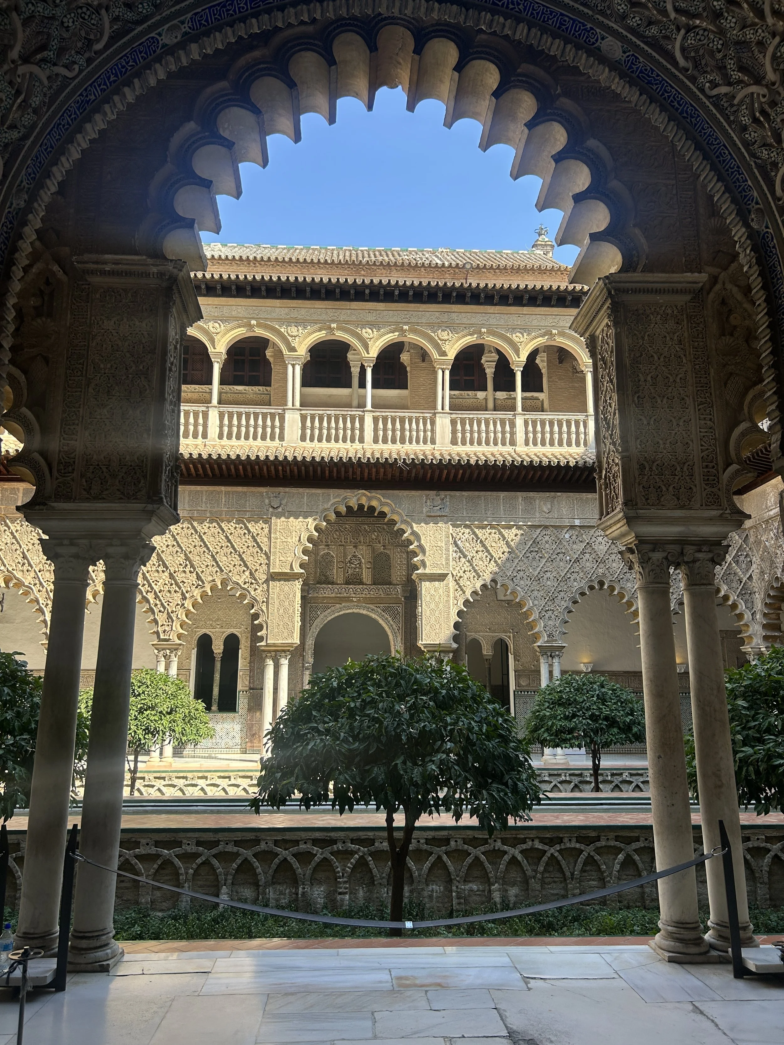 IMG_5960.jpeg