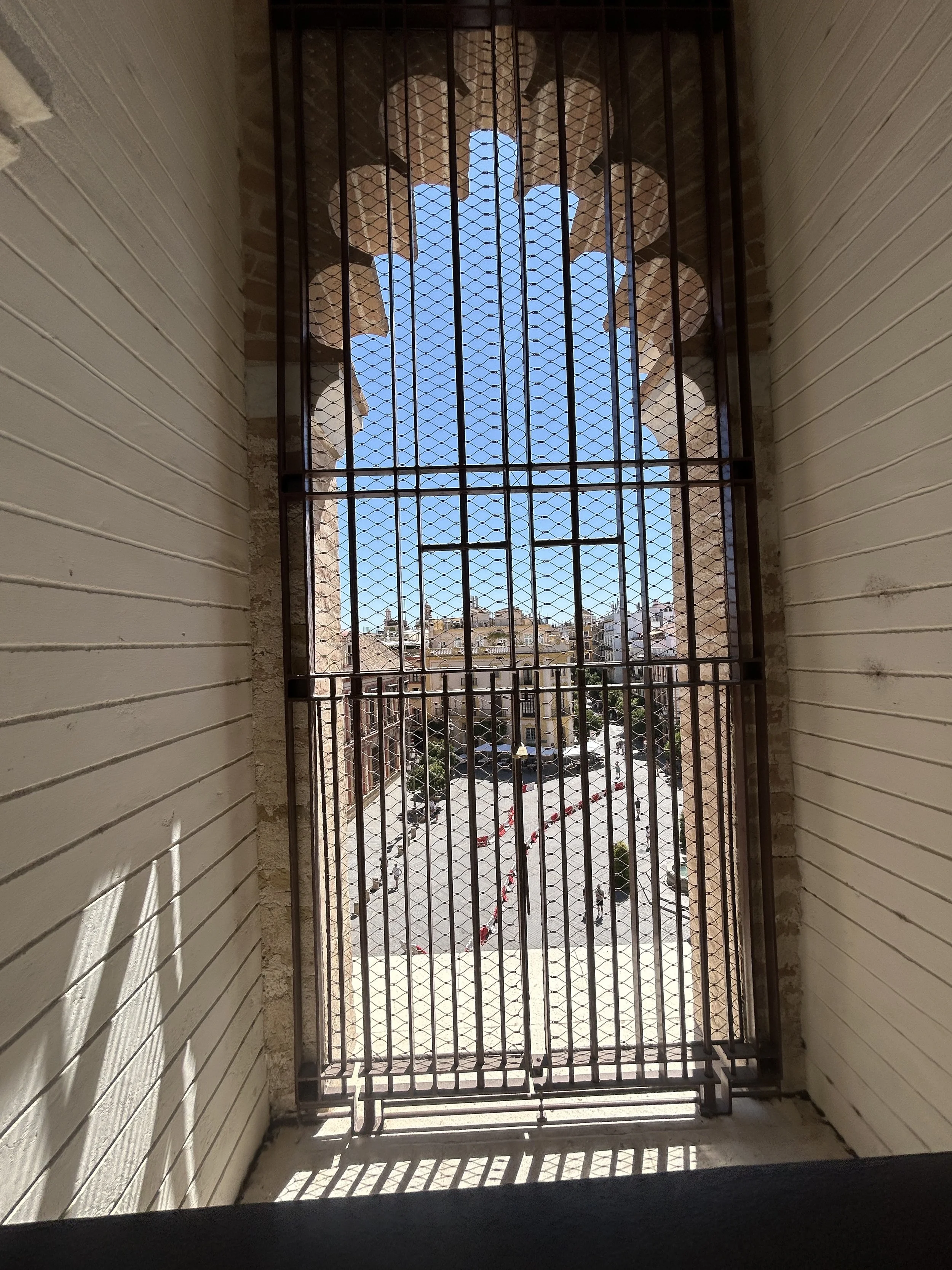 IMG_6071.jpeg