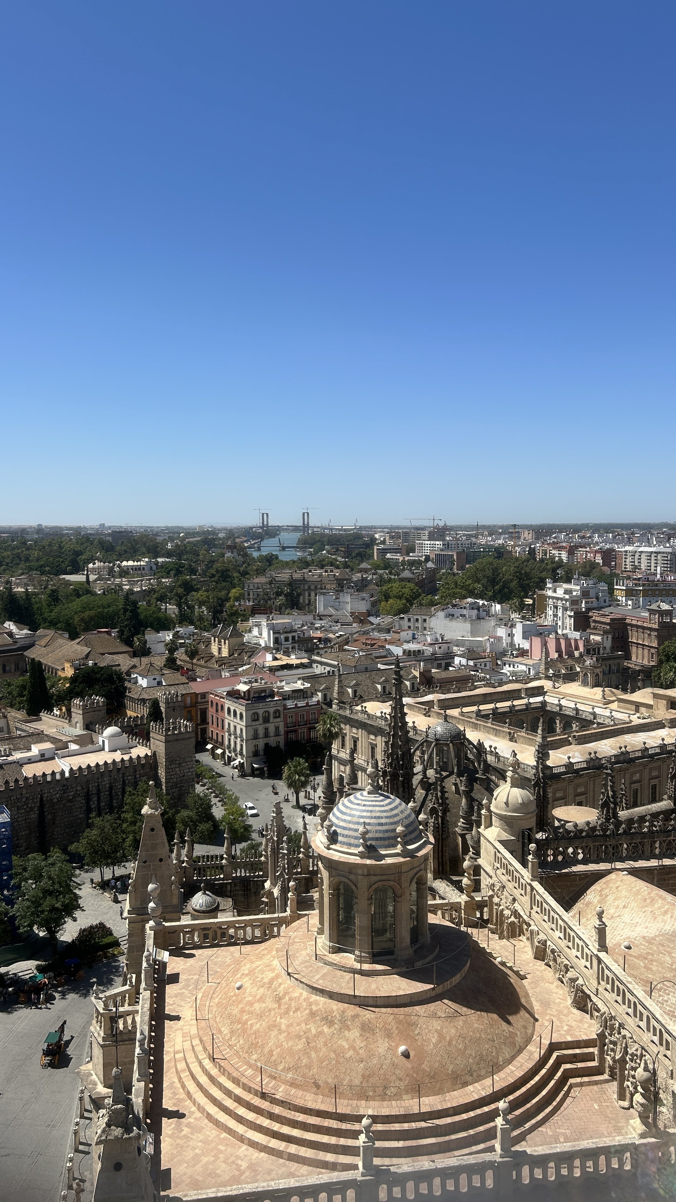 IMG_6079.jpeg