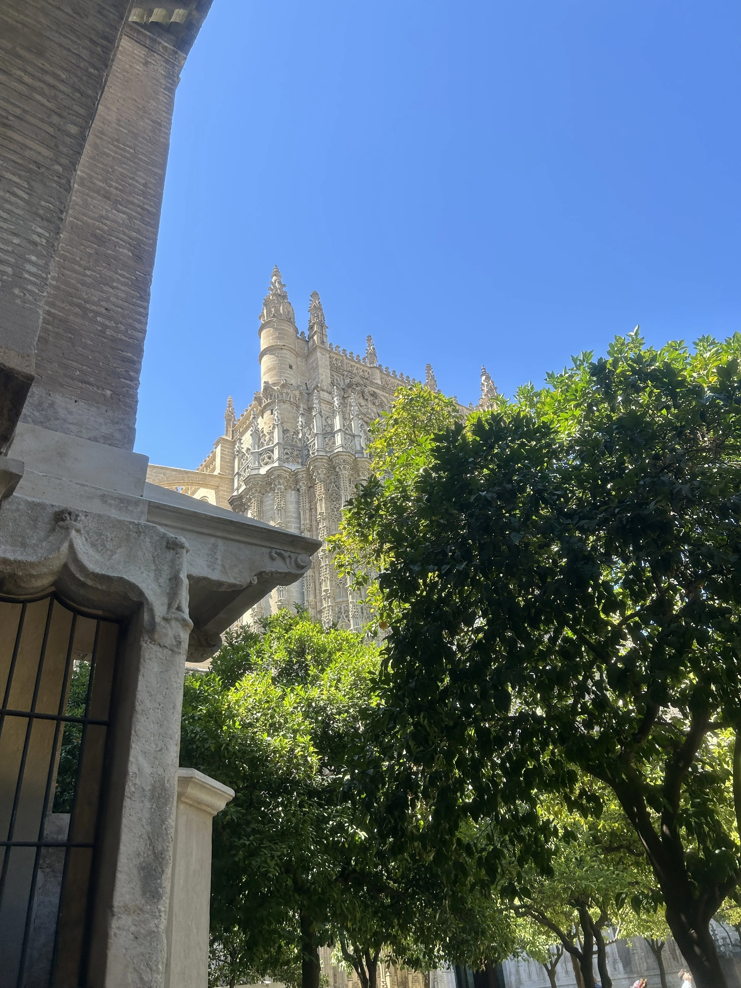 IMG_6088.jpeg