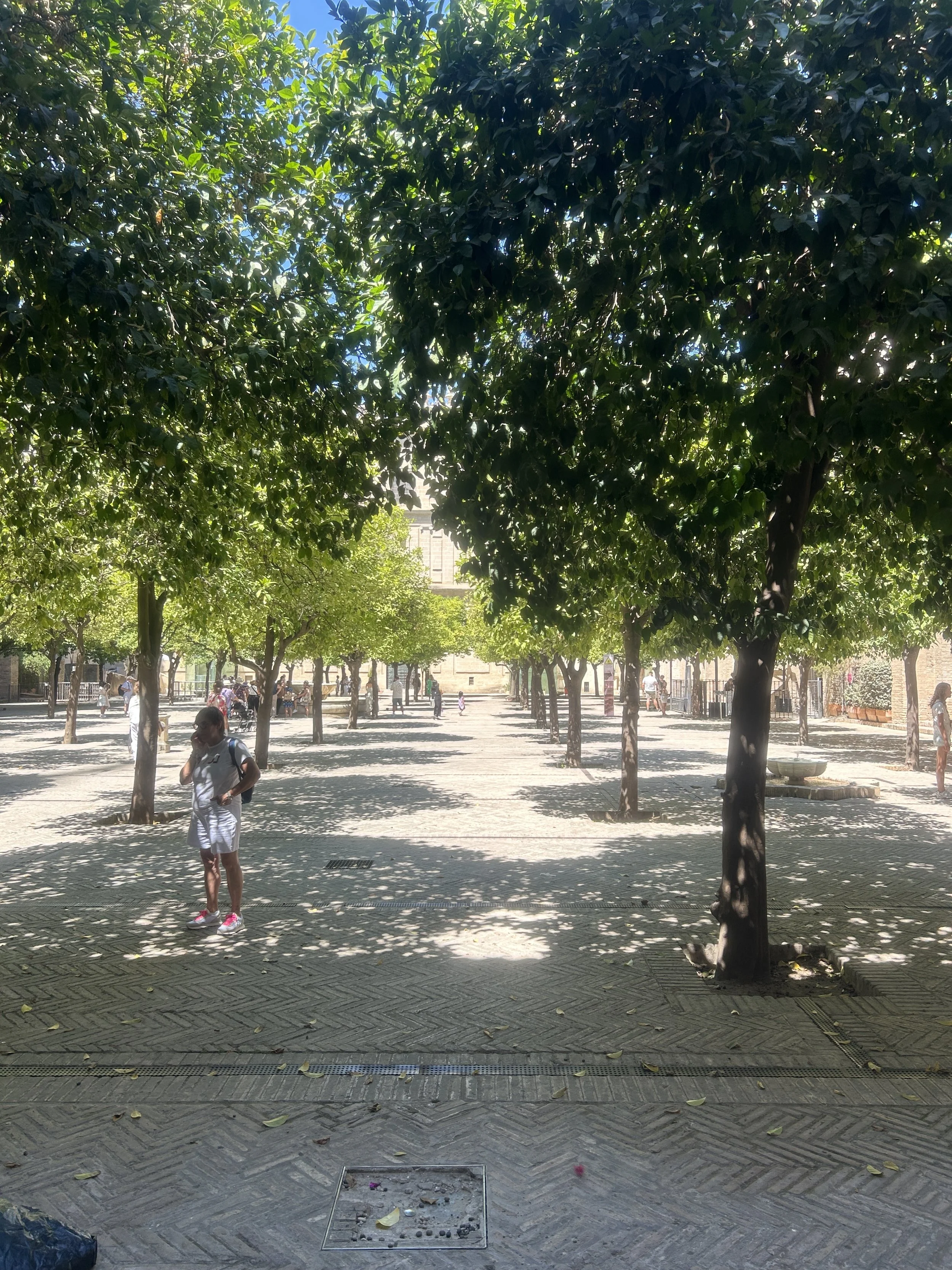 IMG_6089.jpeg