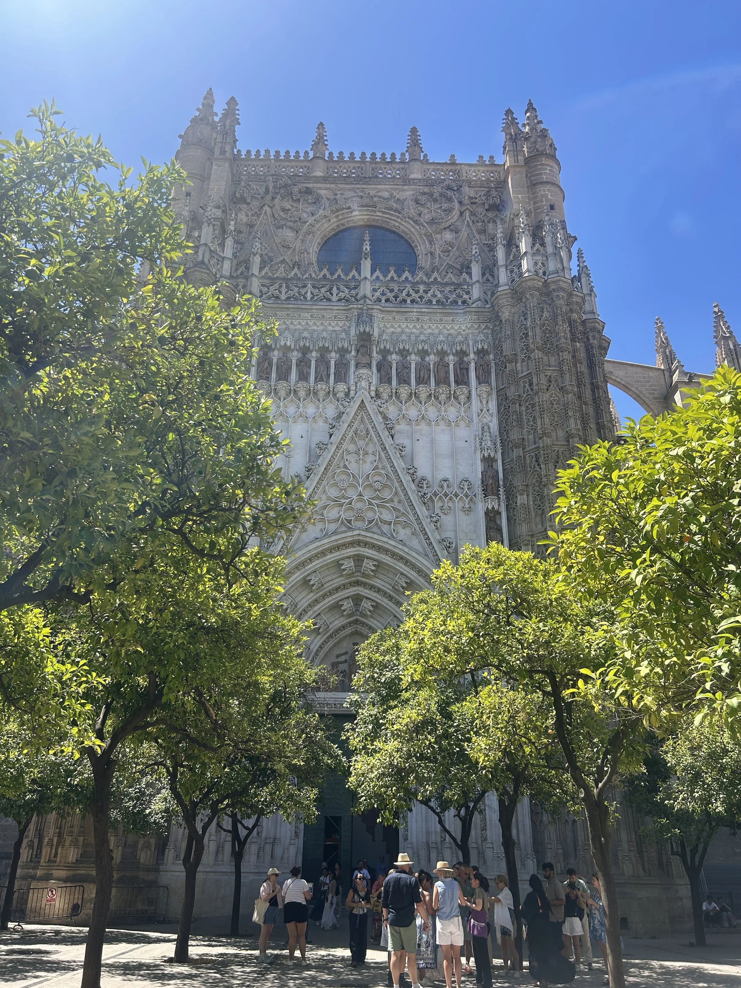 IMG_6092.jpeg